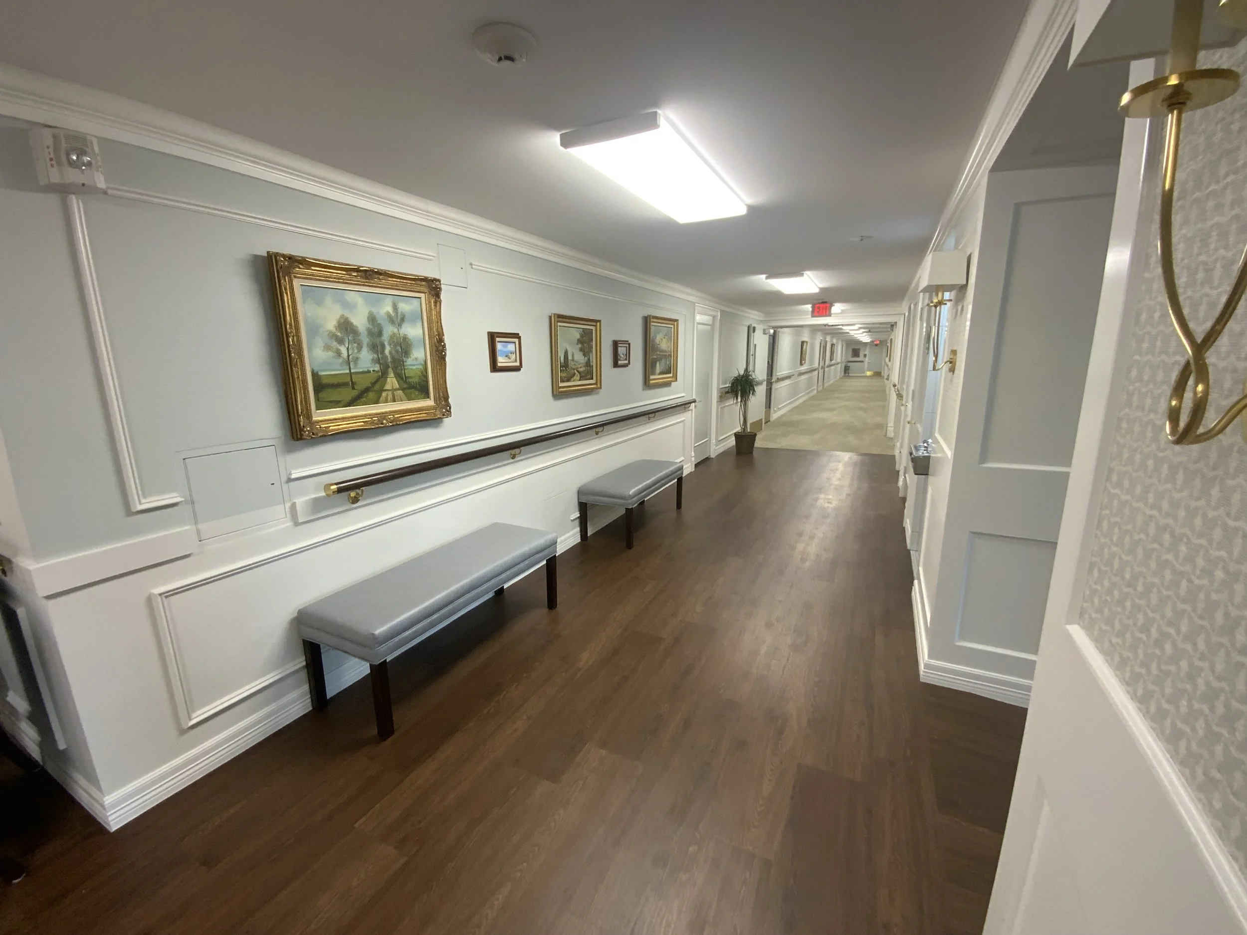 Long hallway with framed landscape paintings on the wall, benches, potted plant, and bright overhead lighting.