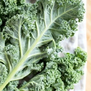 Mustardy Kale Salad with Sweet Potatoes