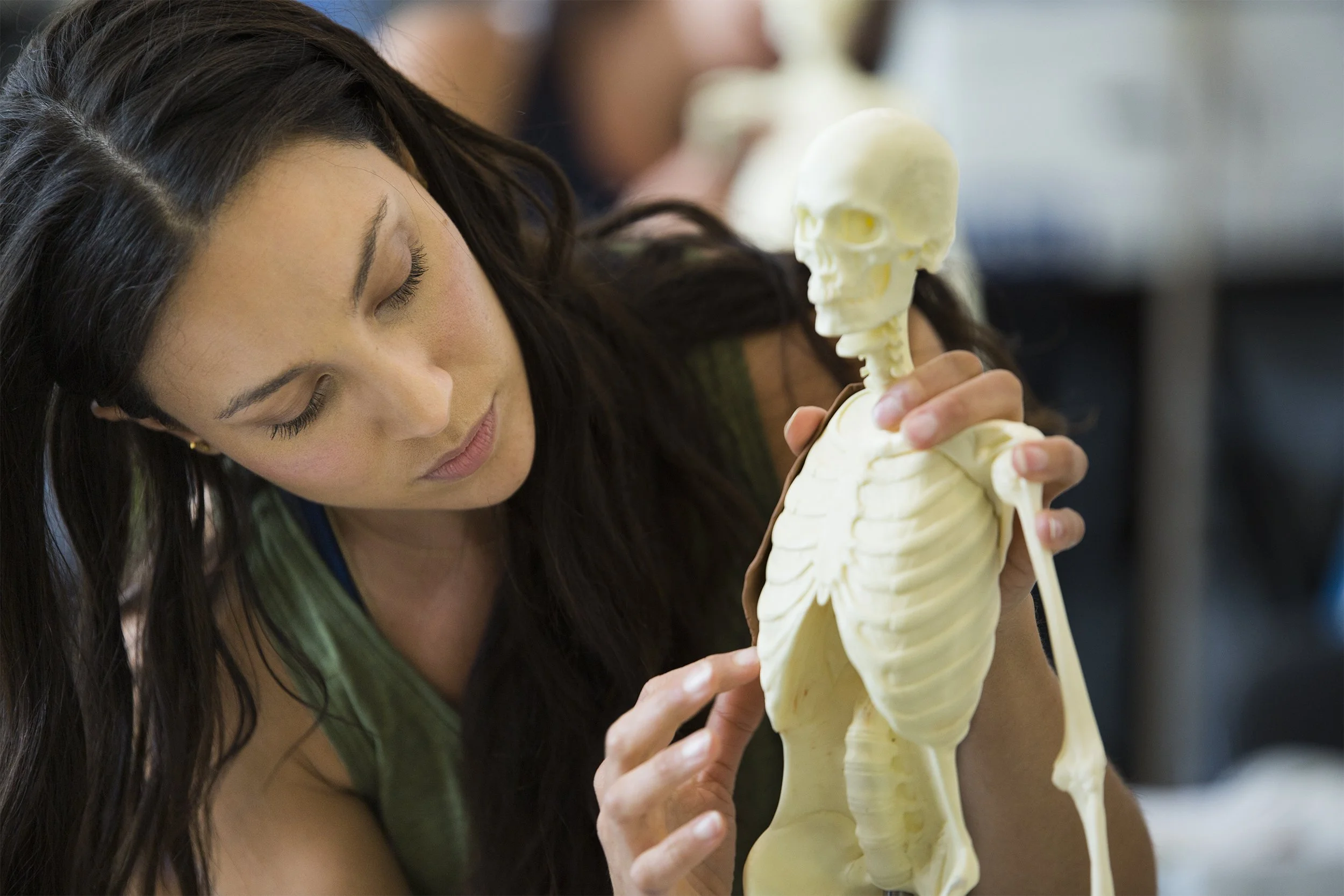 Anatomy in 3 Dimensions (AI3D)