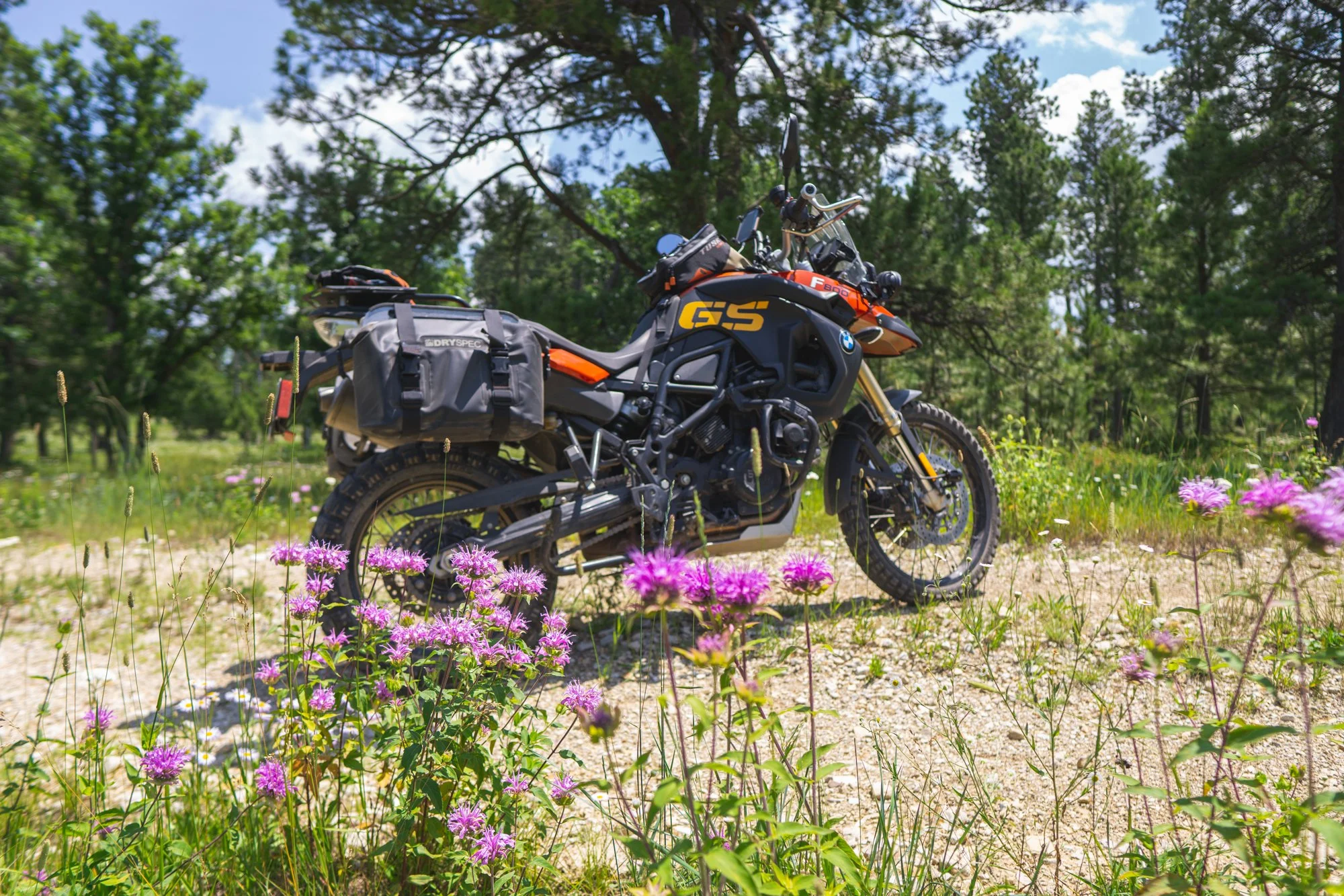 A black and orange BMW GS motorcycle parked on a dirt trail surrounded by pink wildflowers and green trees under a partly cloudy sky.