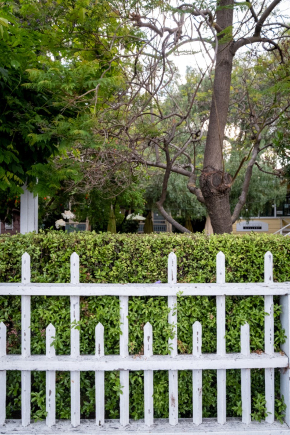 Is Your Block Right for a Knockdown Rebuild? A Melbourne Site Checklist
