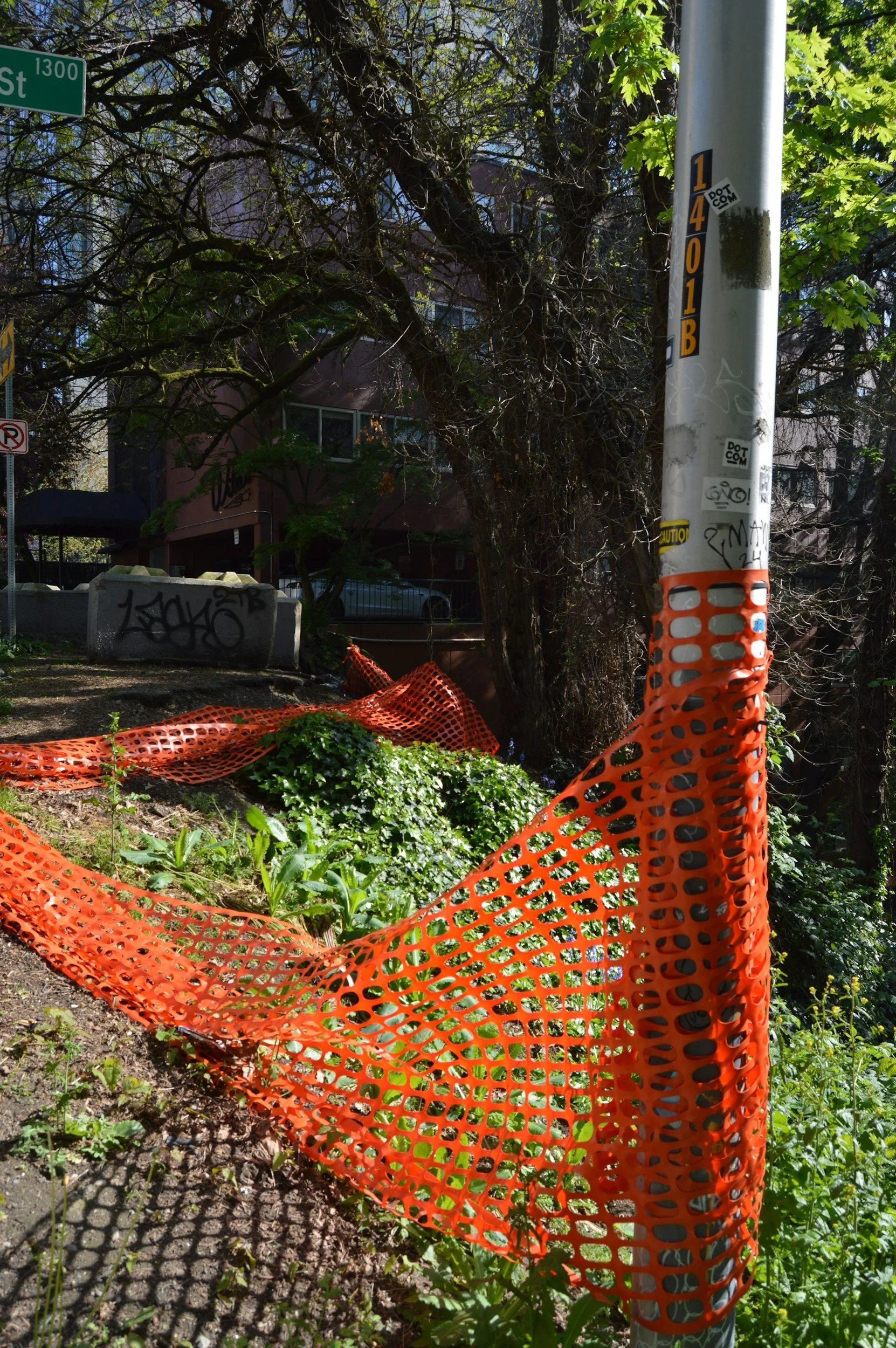 Orange tree protection fencing around a tree on a building site