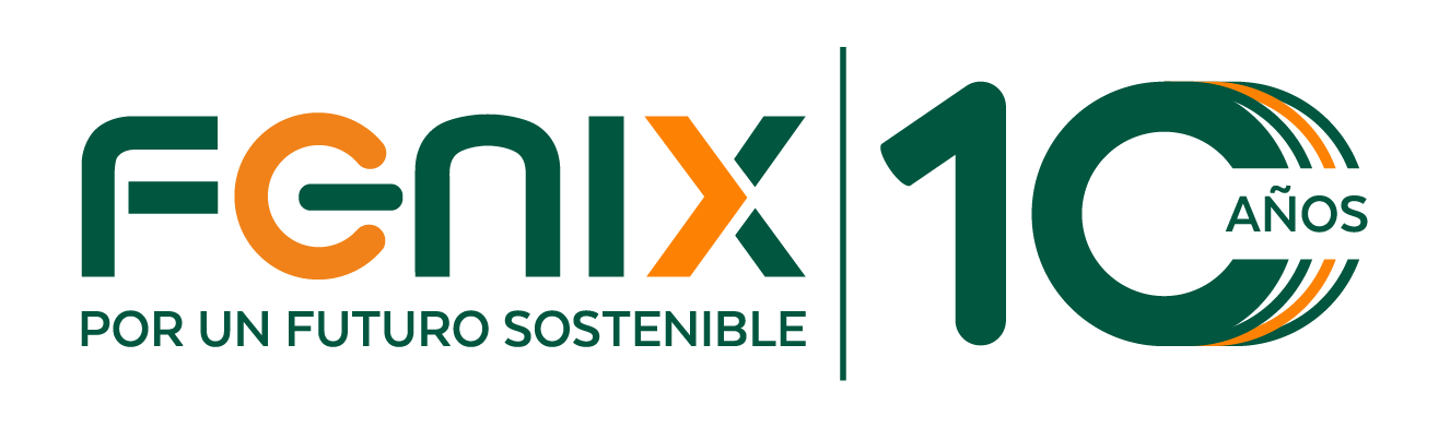 Fenix Energía | 10 Años