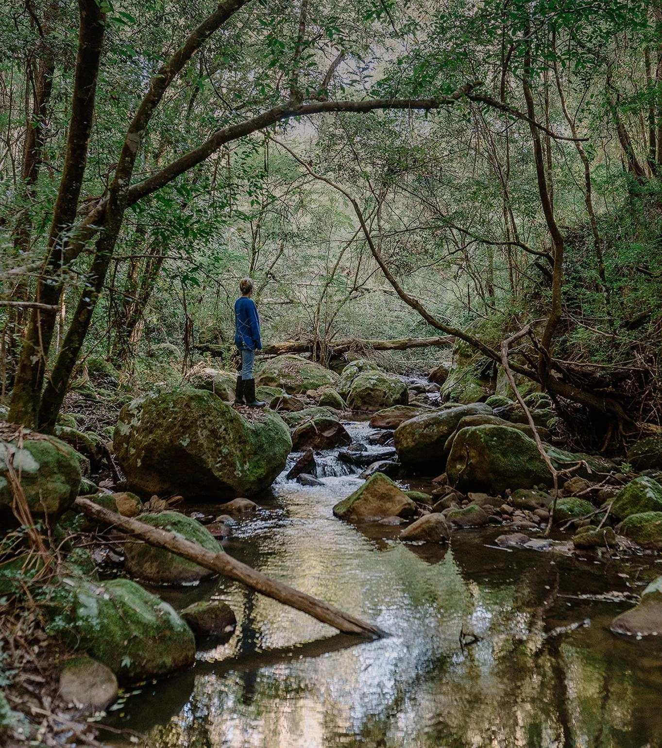 A person standing on a moss-covered rock in a forest stream surrounded by trees and greenery