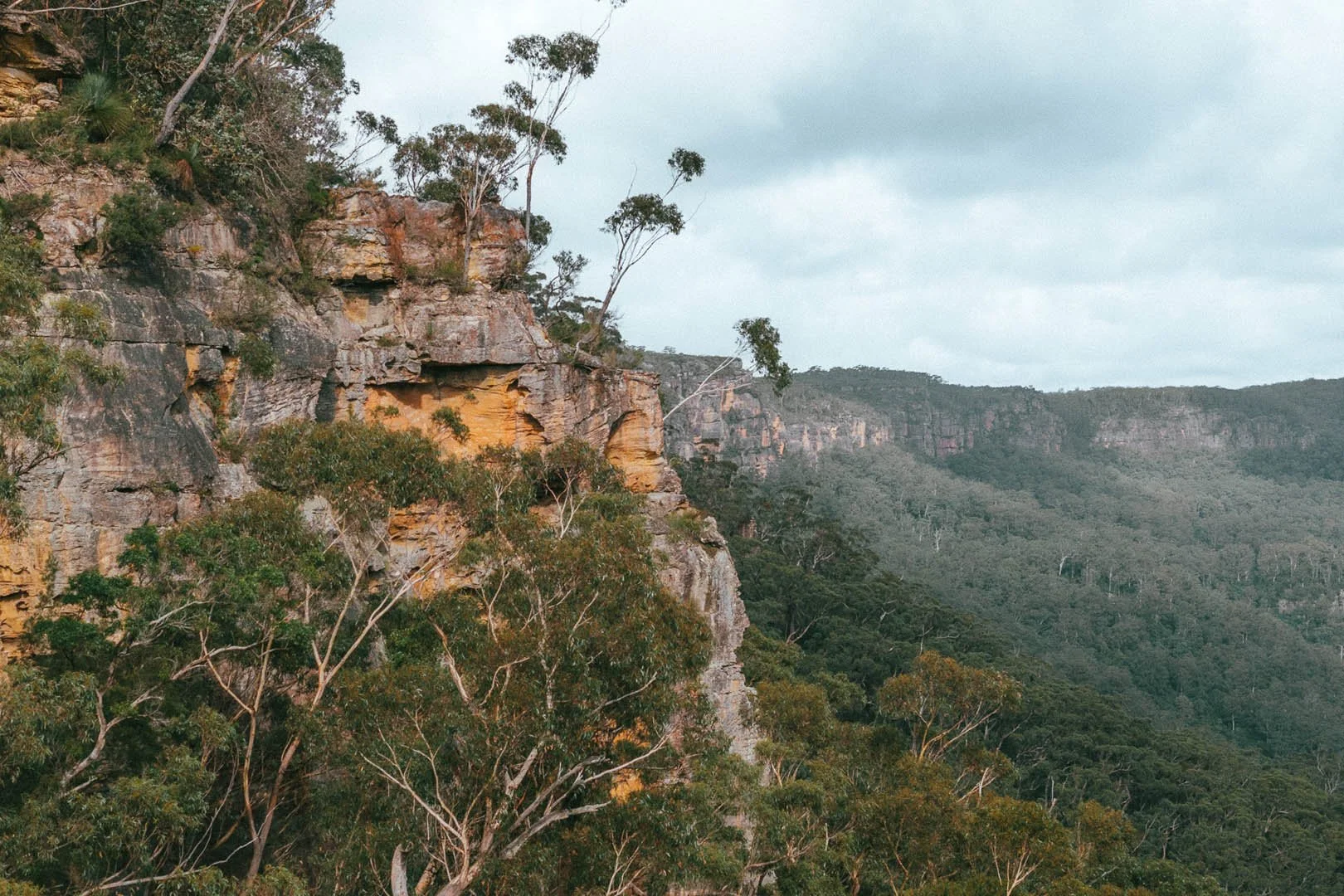 View of a rocky cliff with sparse trees on it and a forested landscape in the background, under a cloudy sky.