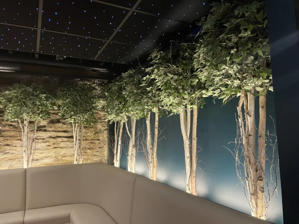 Custom commercial restaurant electrical work by Walter Electrical Contractors in Minnesota, including star-like ceiling lights, accent wall lighting, and ambient tree uplighting.