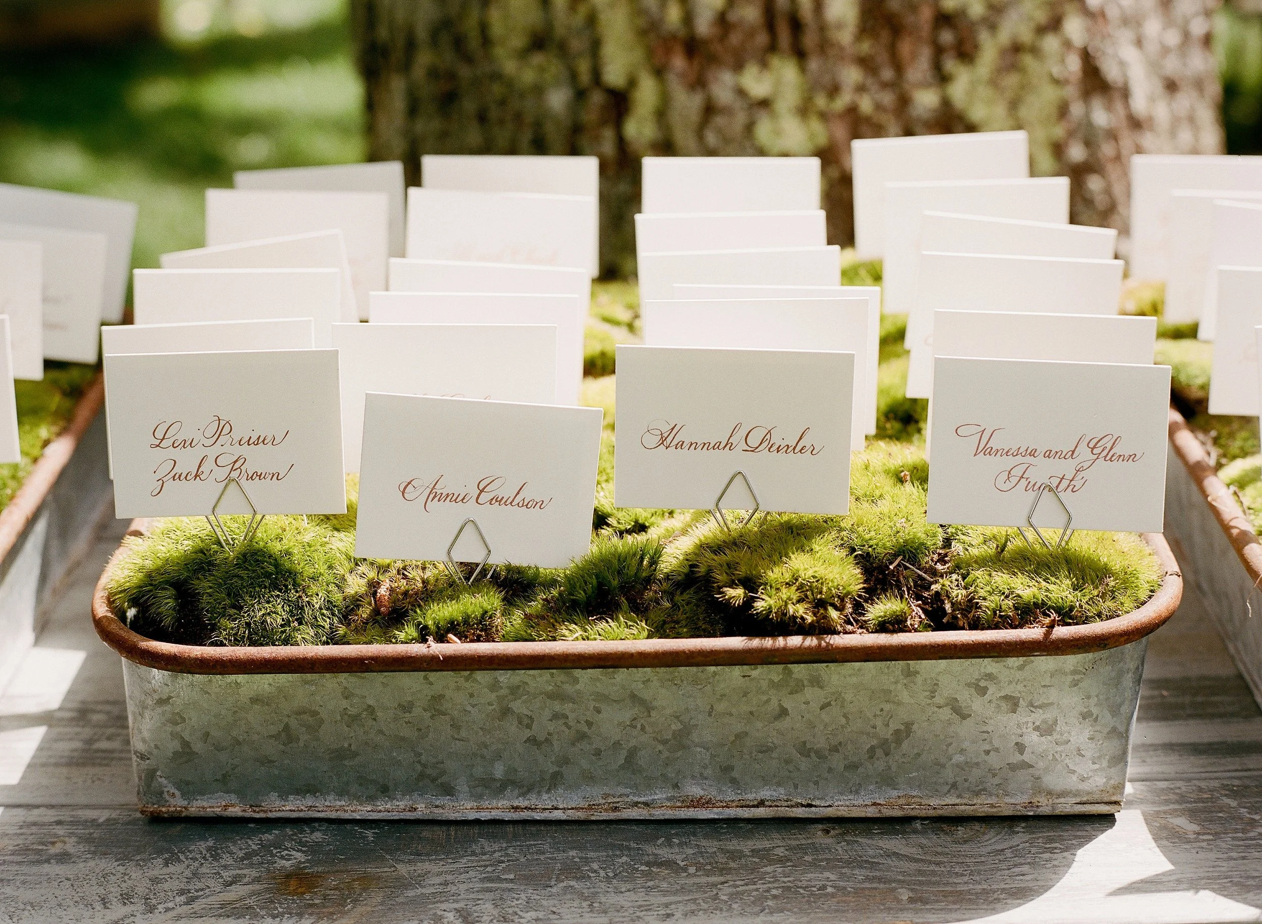 danielle_michael_escort card.jpg