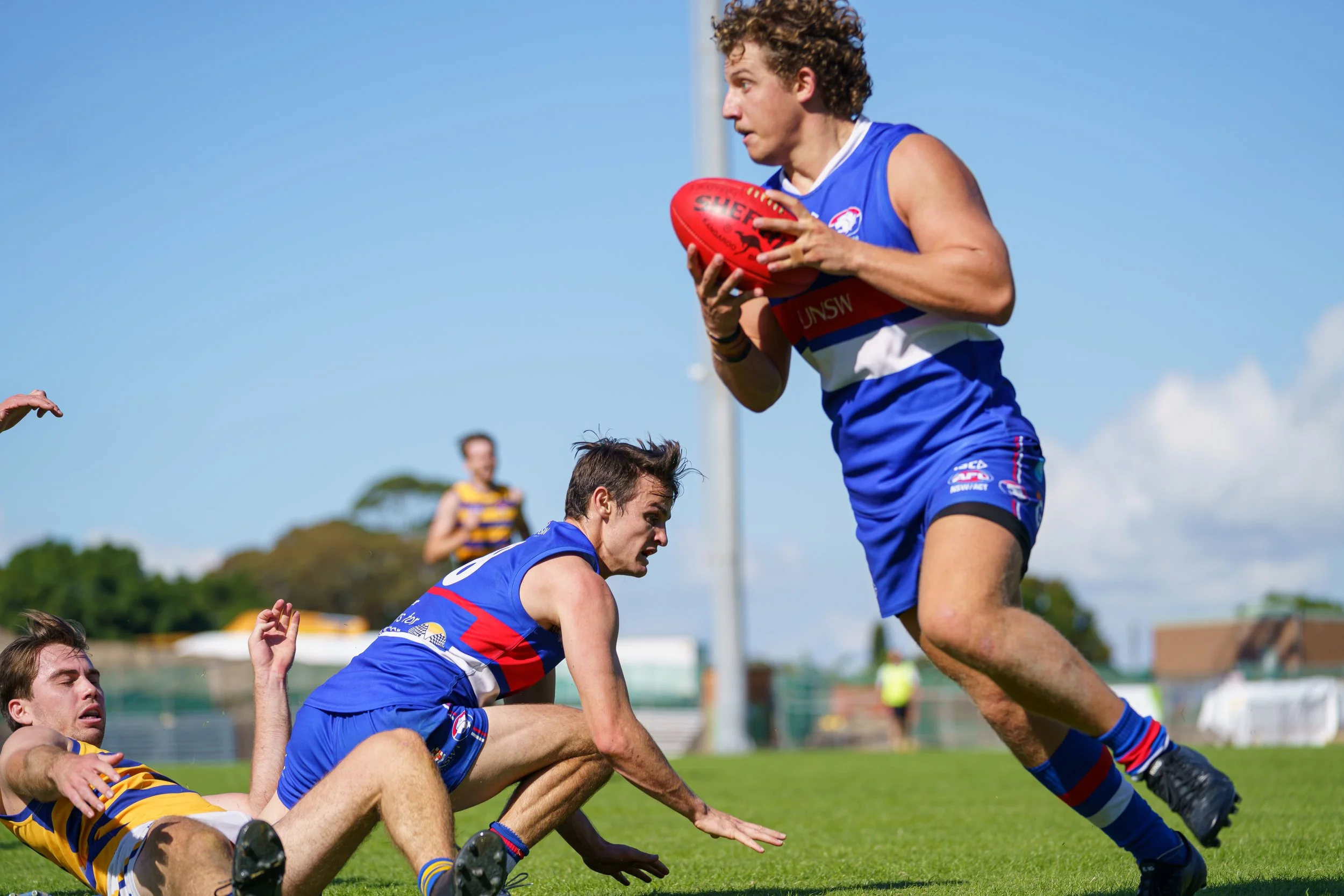 Australian Rules football players in action on the field, with one player in a blue uniform holding the ball tightly while others are on the ground near him, during a game under a blue sky.