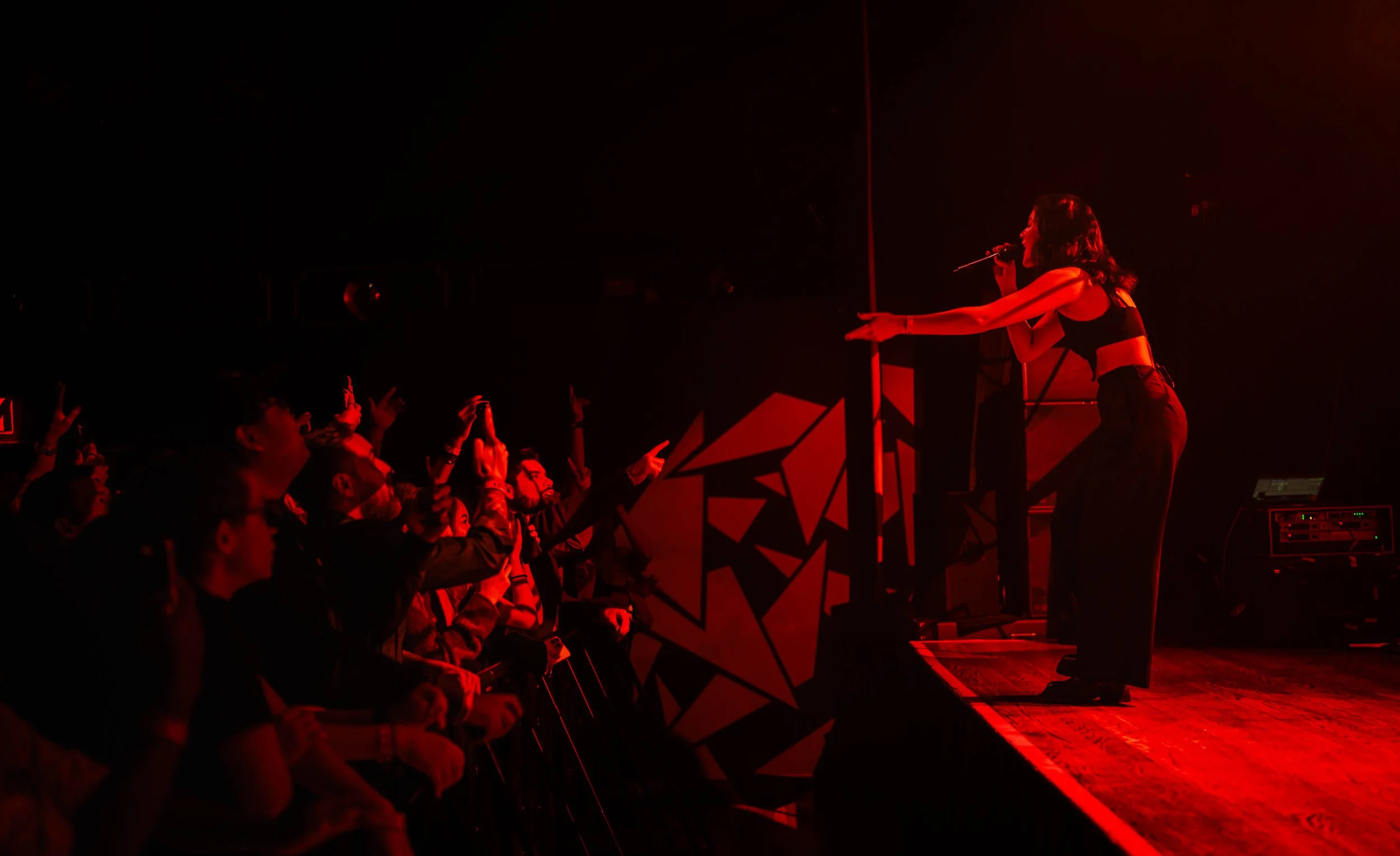 A female singer performs on stage with red lighting, reaching out to the enthusiastic audience. The crowd is engaged, some with arms raised, in front of geometric patterned panels.