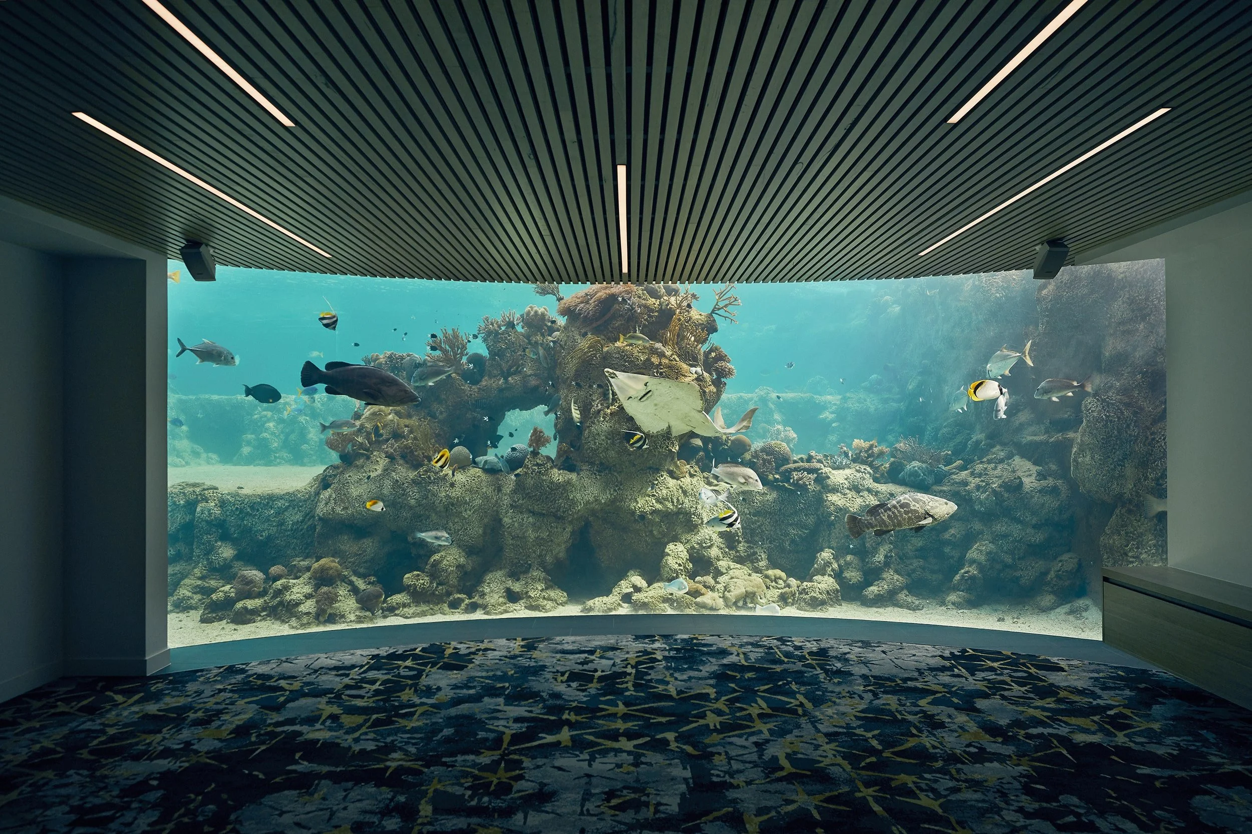 Australia - Daydream Island