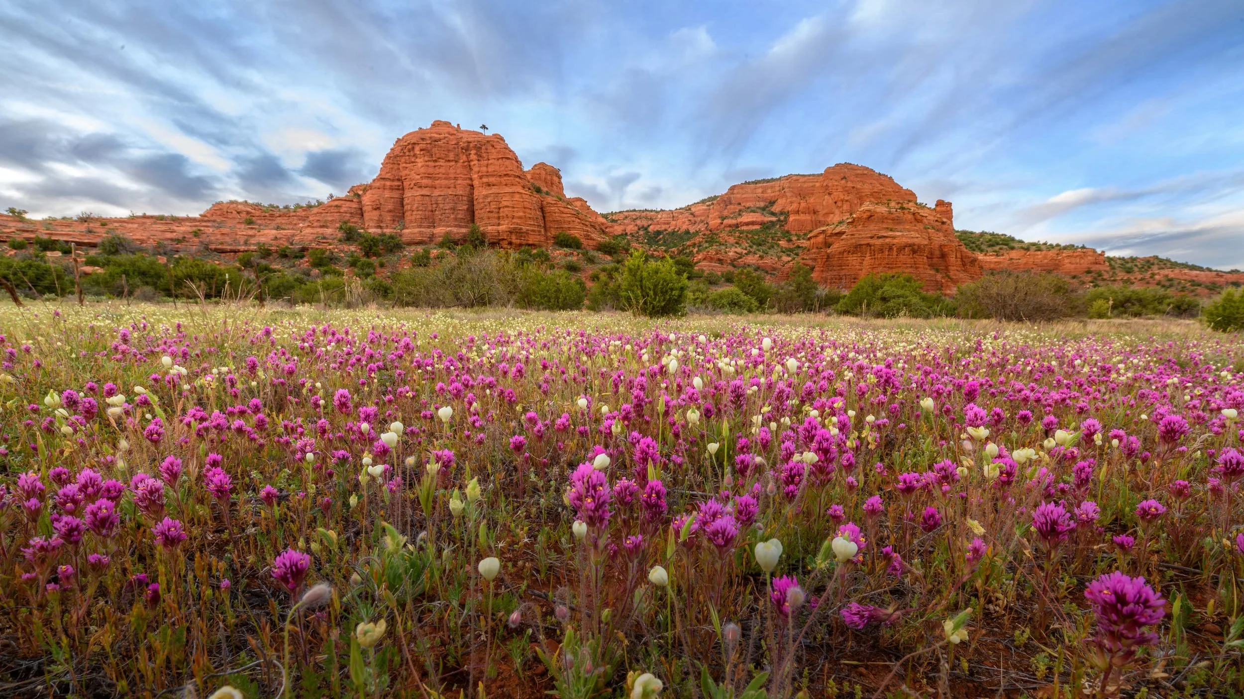 Ken Carroll - US Southwest -28.jpg