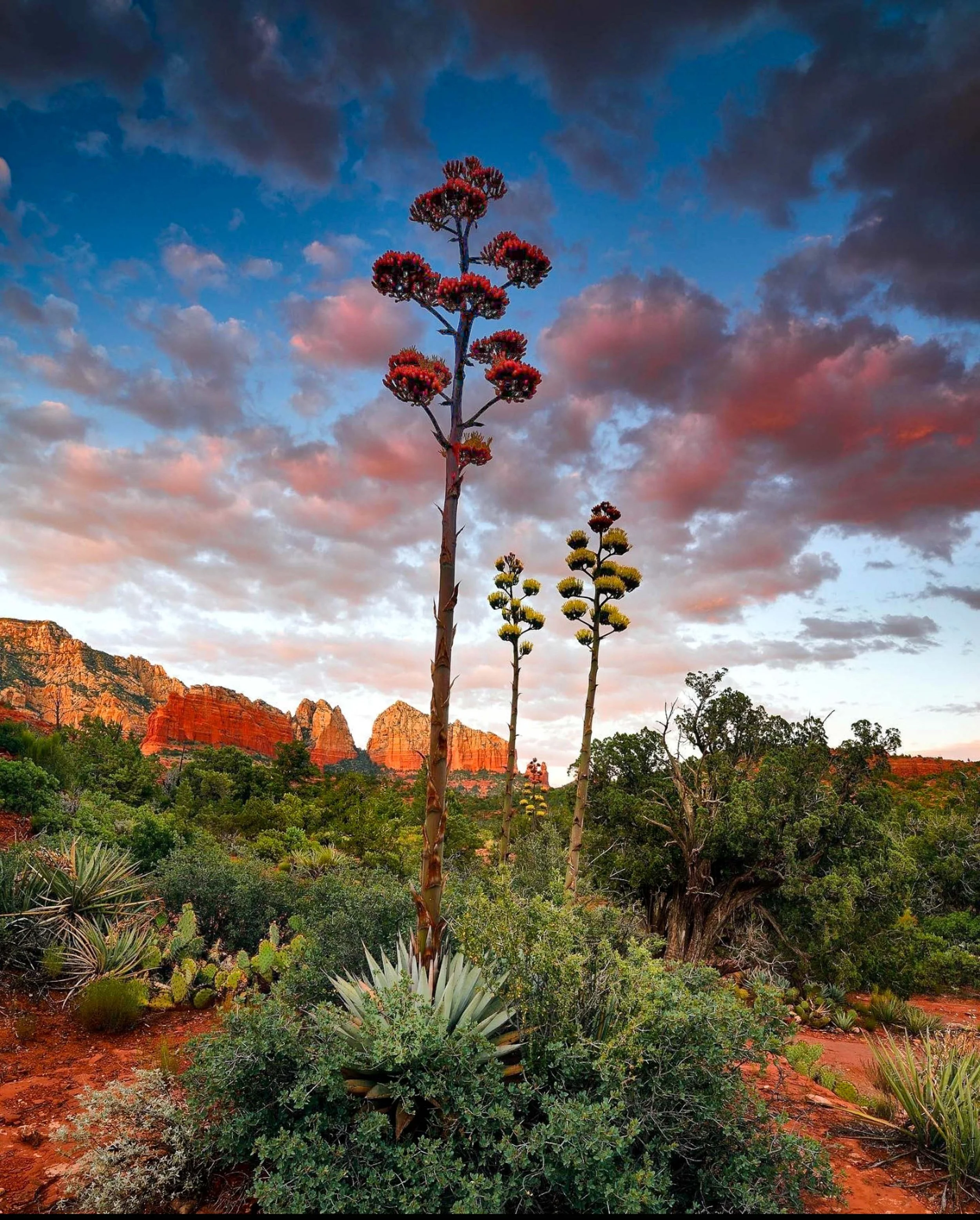 Ken Carroll - US Southwest -5.jpg