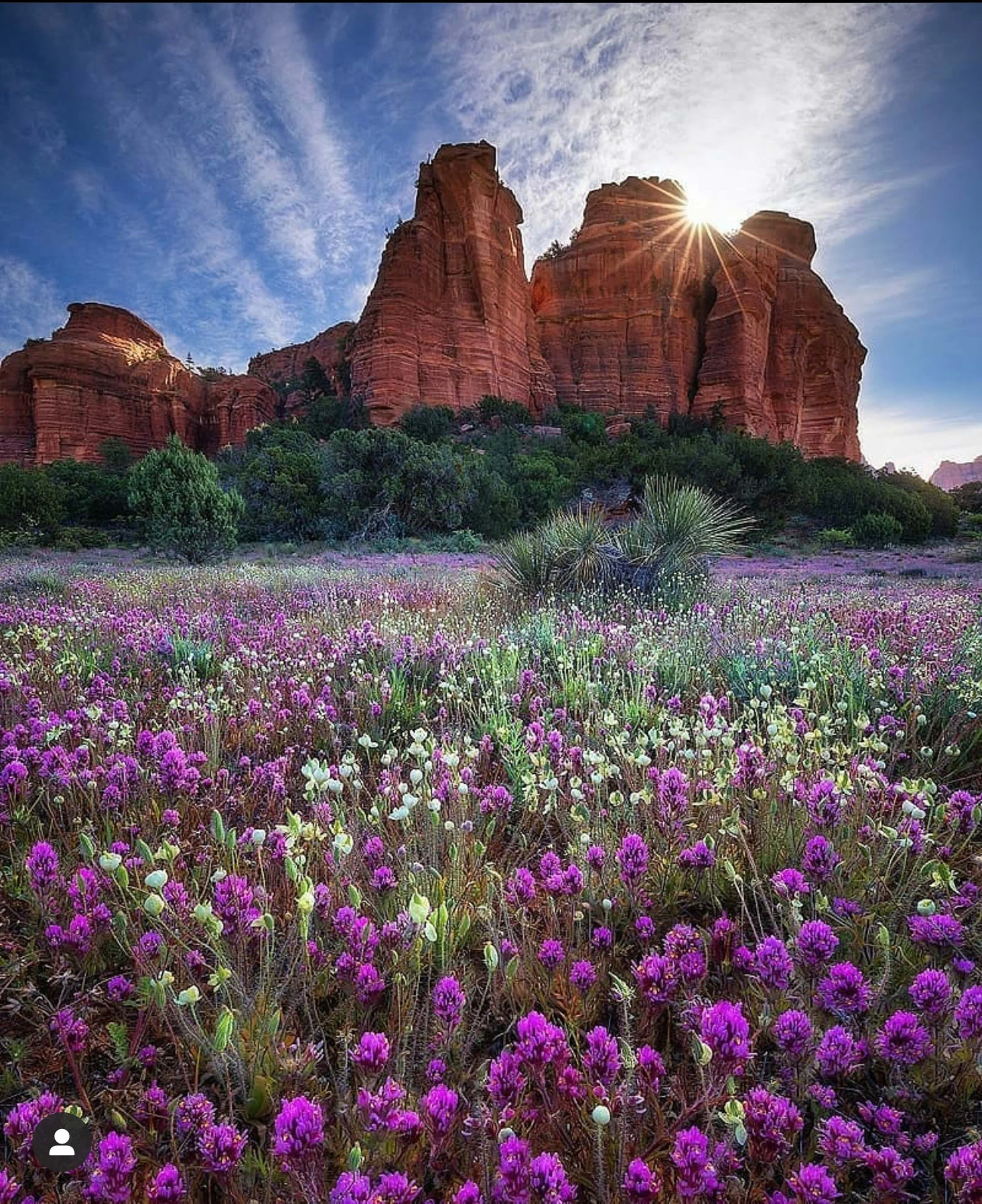 Ken Carroll - US Southwest -18.jpg