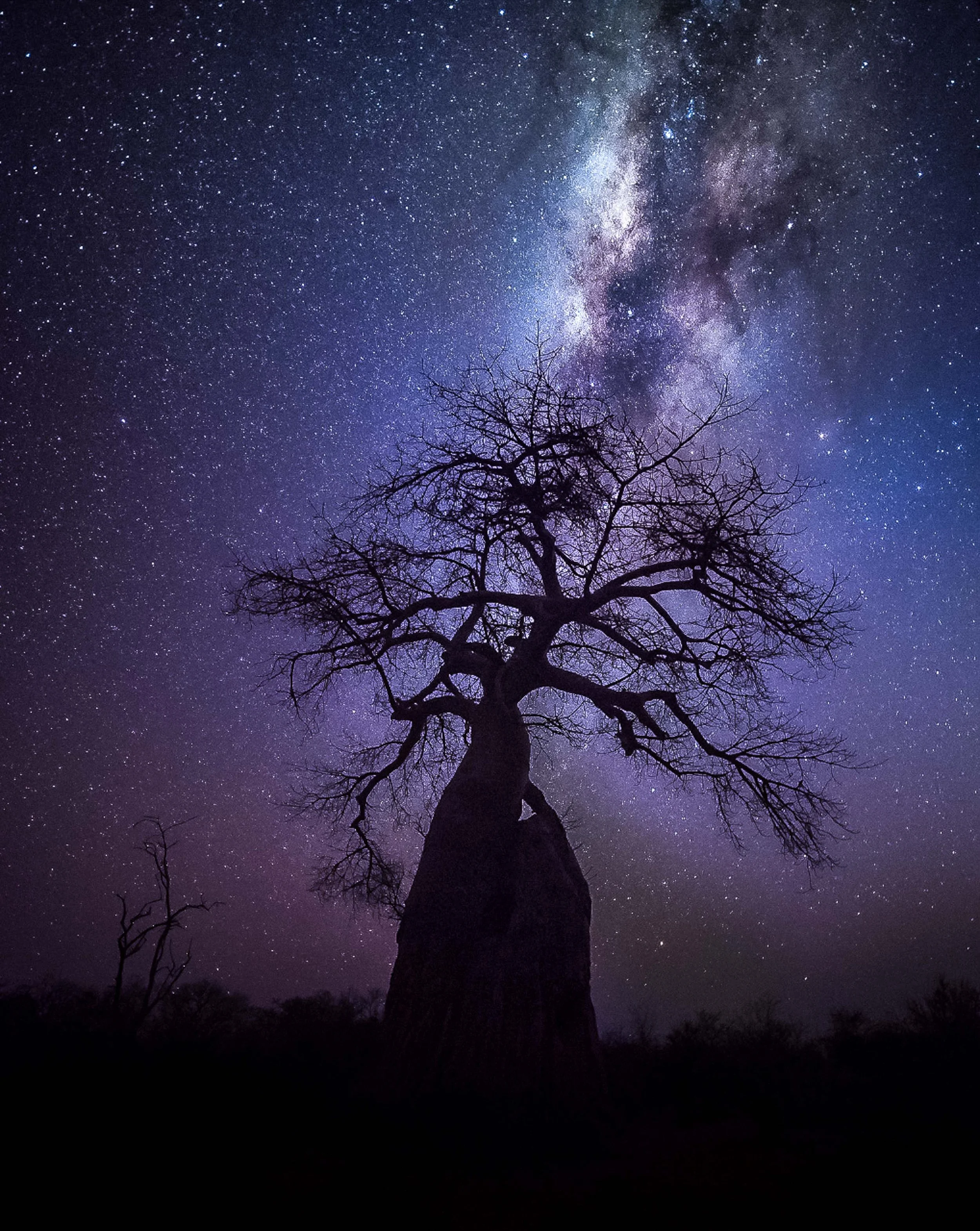 Ken Carroll - US Southwest -20.jpg