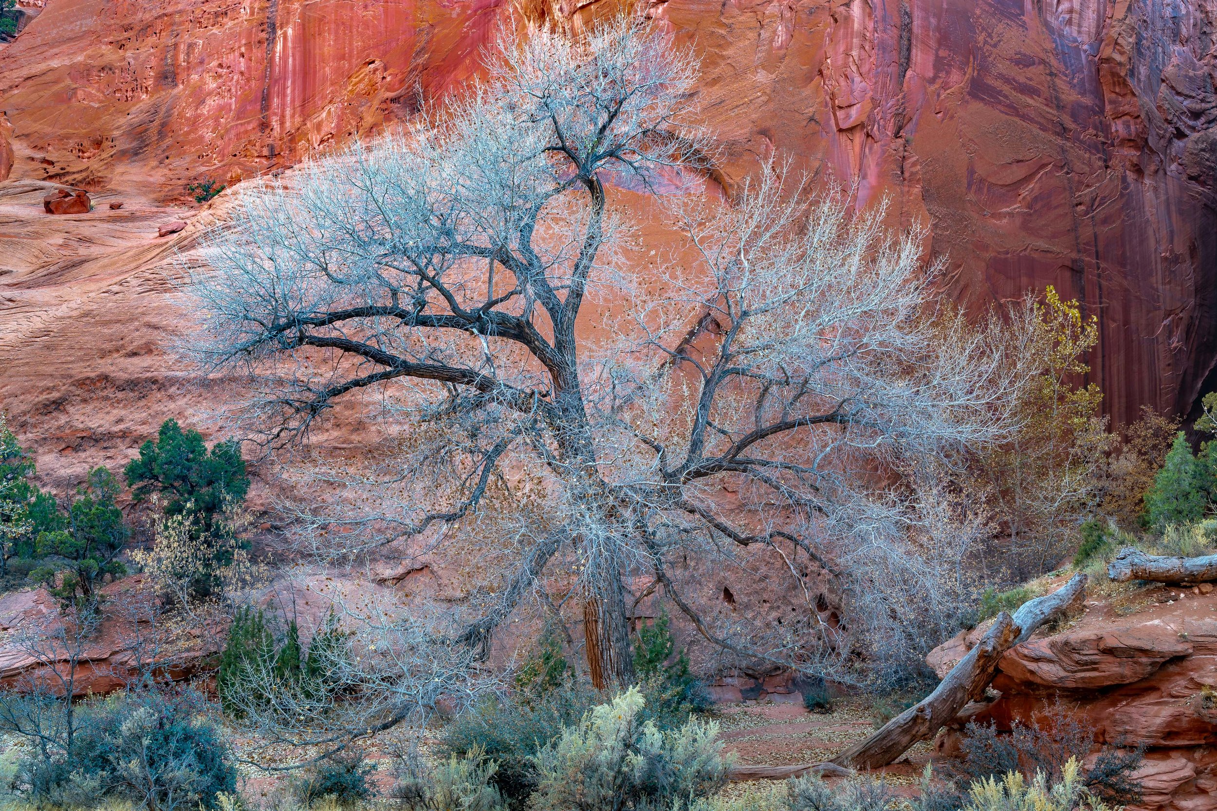 Ken Carroll - US Southwest -15.jpg