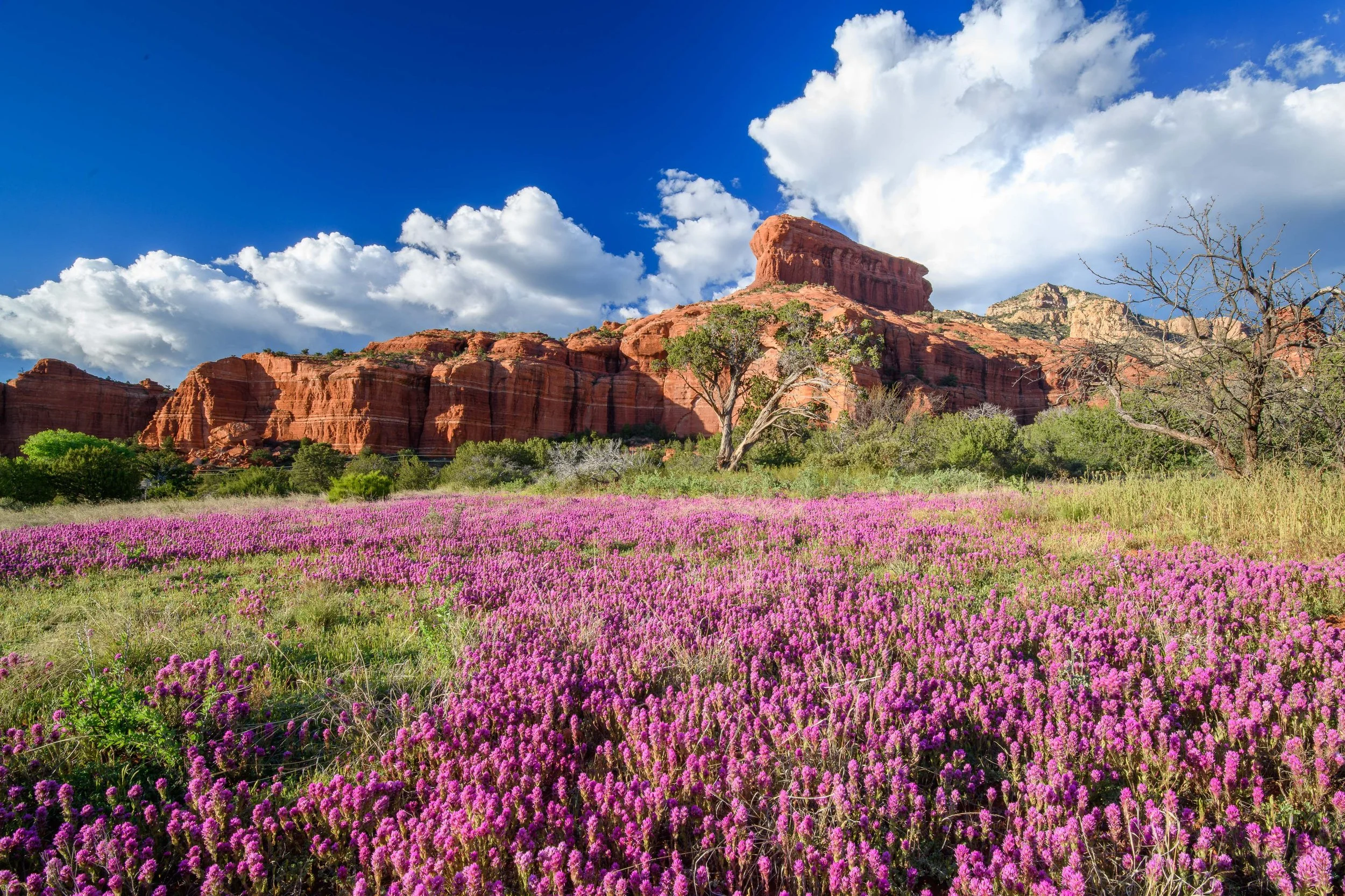 Ken Carroll - US Southwest -6.jpg