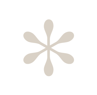 A beige snowflake with six elongated arms