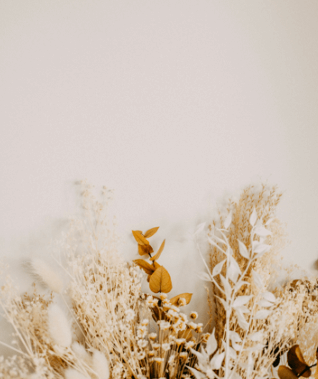 A collection of dried beige and white flowers arranged at the bottom of the image with a plain, cream-colored background.