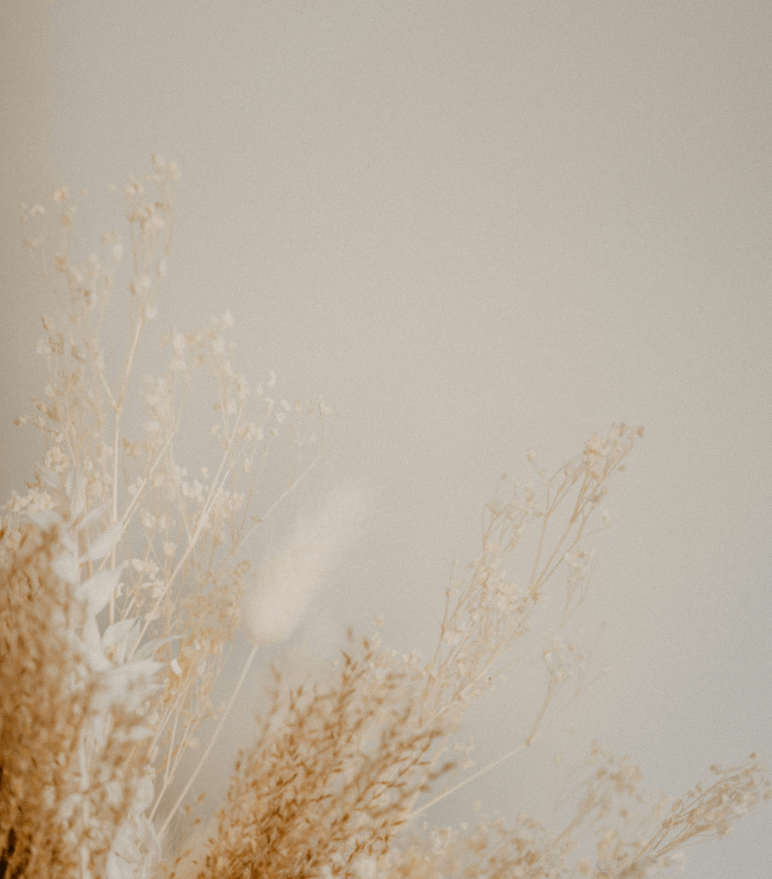 A beige-toned bouquet of dried flowers with a blurred background.