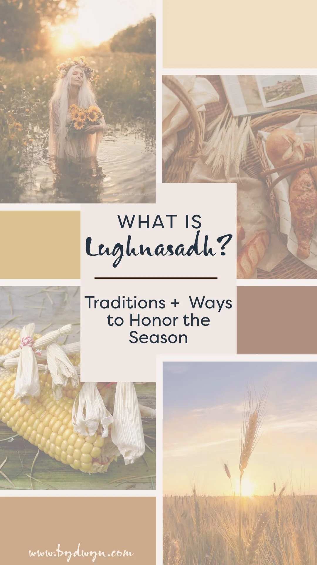 A collage of images representing the Lithuanian tradition of Lūgnasadl, including a woman in a sunflower wreath standing in water, a picnic blanket with bread and books, hanging ears of corn, ripe wheat field at sunset, and a close-up of wheat with a sunset in the background.