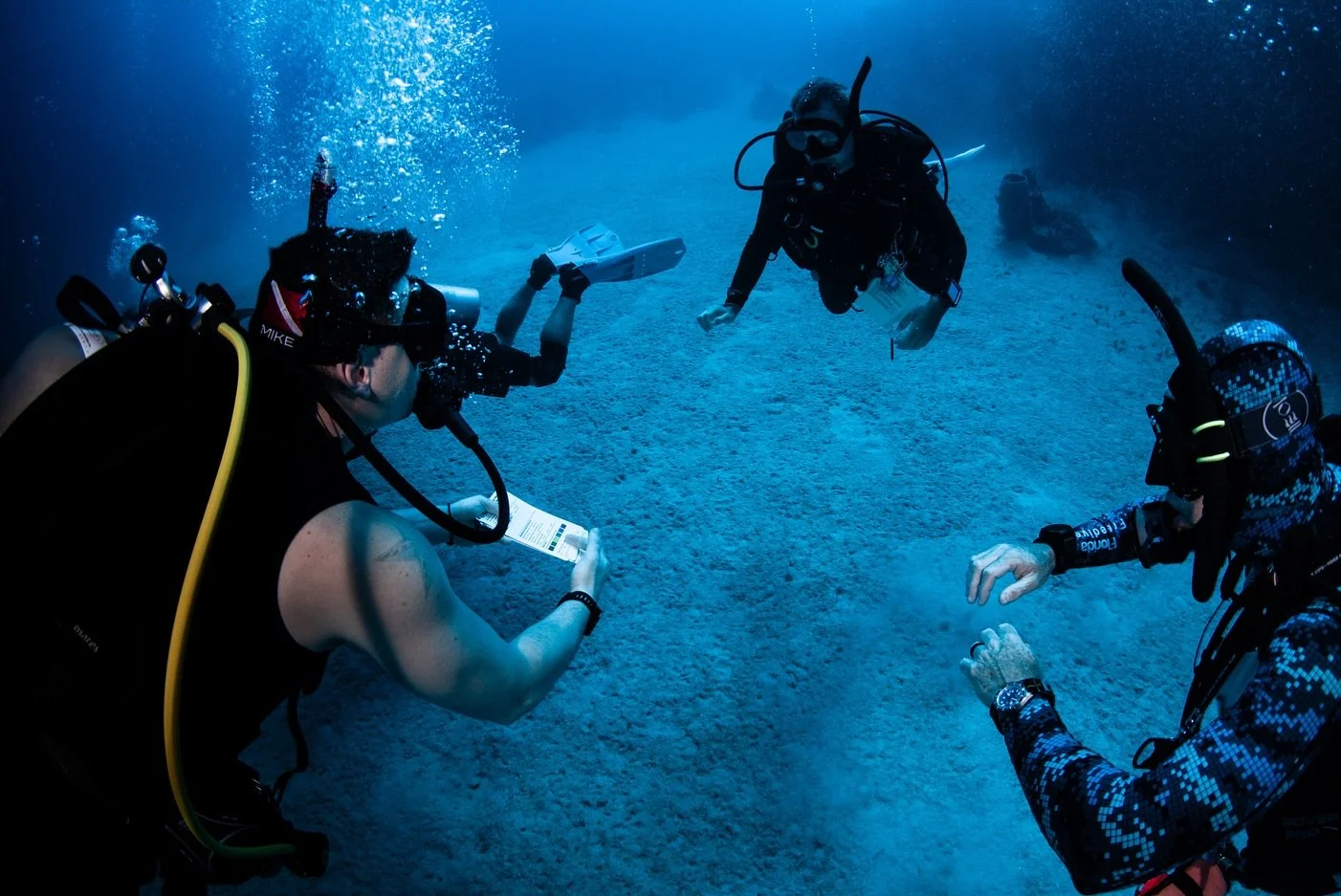 Did you know that colors disappear the deeper you go? And in a certain order! 

Scroll to see if you can tell which colors go first 👀

📍Roatan Divers, West End 
📸 @underwaterwithb