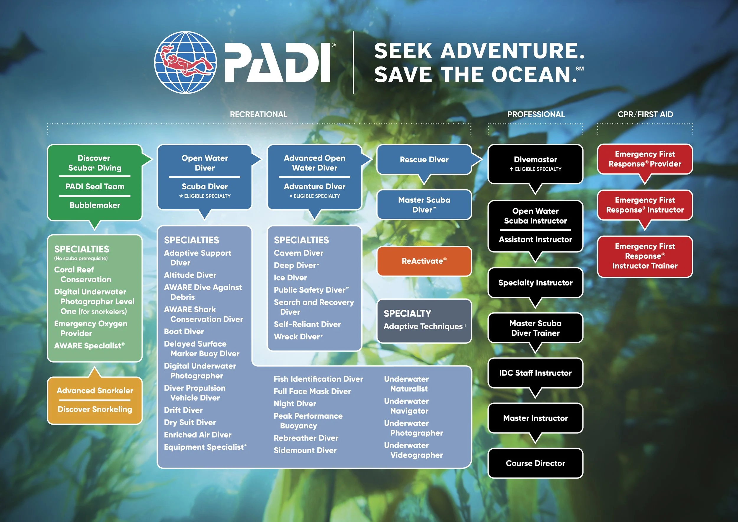A colorful chart displaying the PADI scuba diving certification levels from Discover Scuba to IDC Staff Instructor, with various specialties and instructor roles listed.
