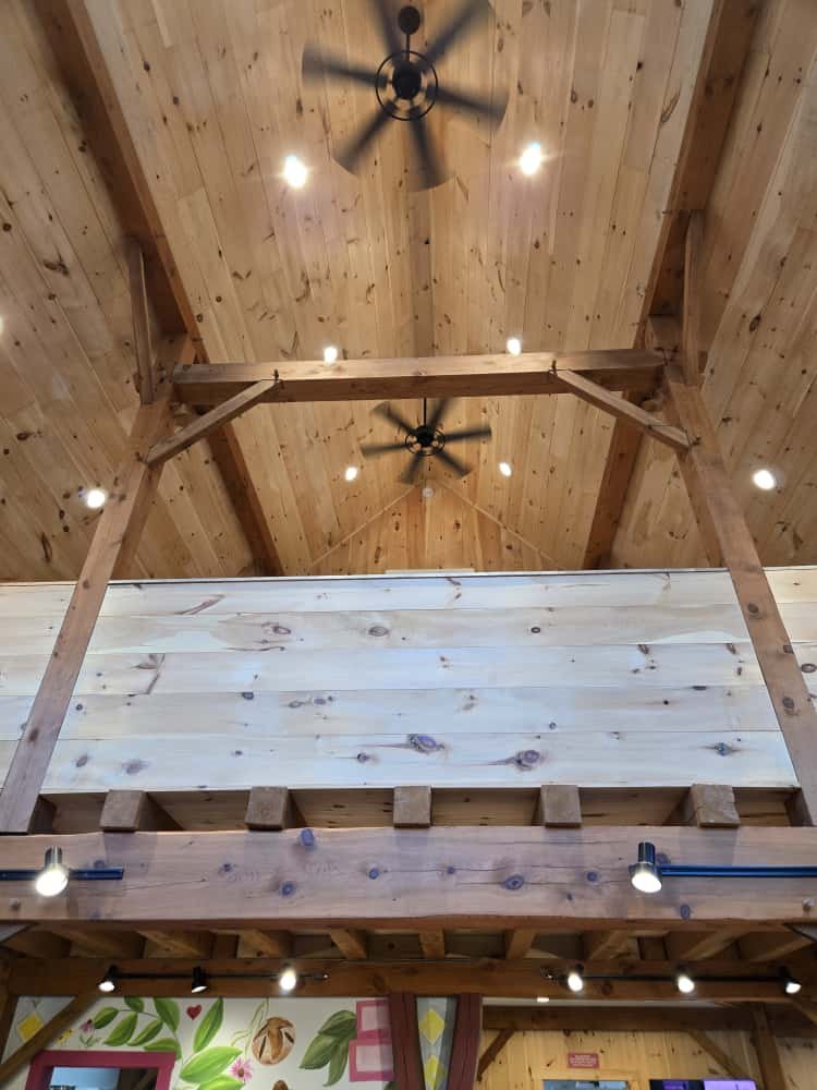 WhatsApp Image 2025-10-12 at 10.59.59 (1).jpeg