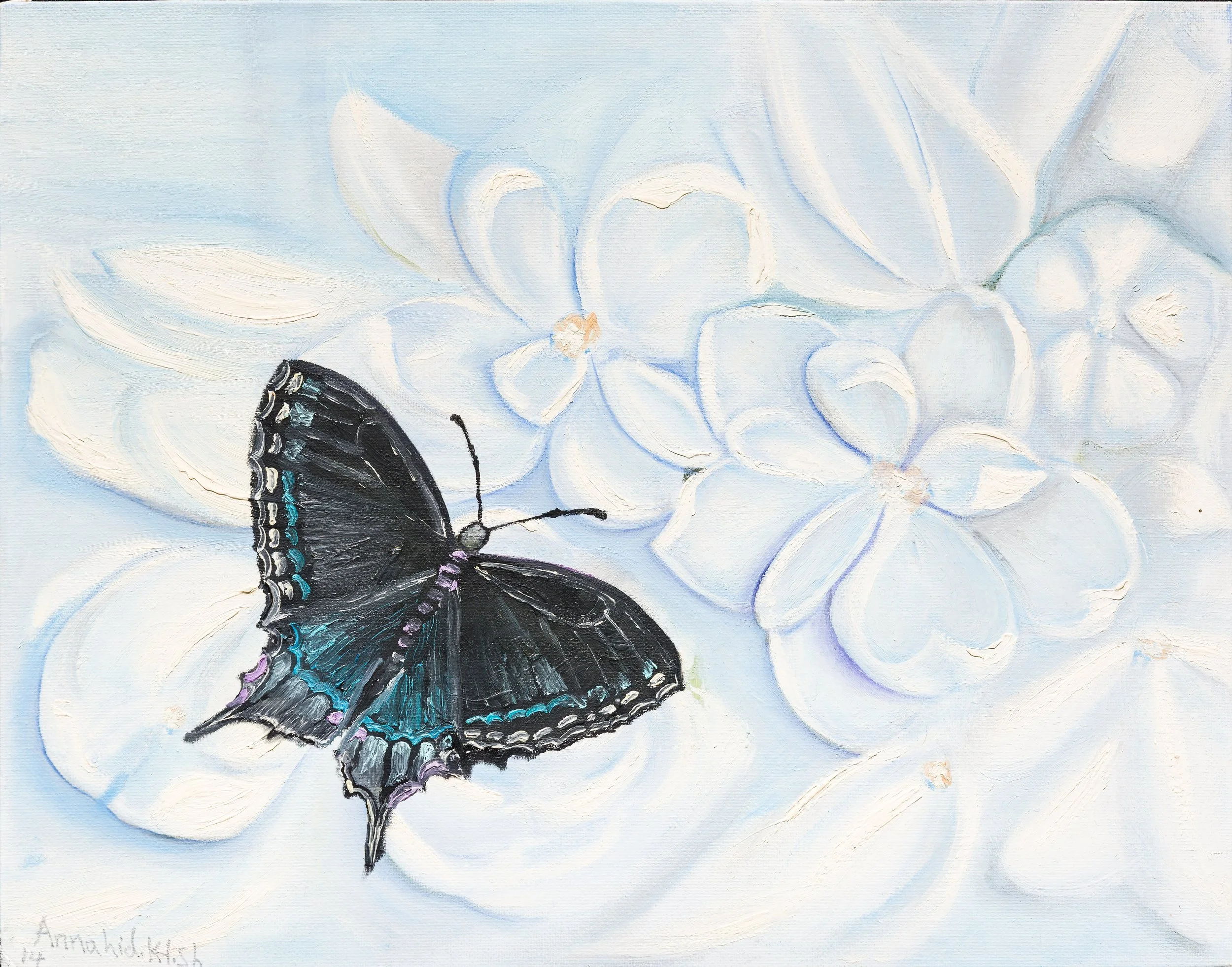 Butterfly-2.jpg