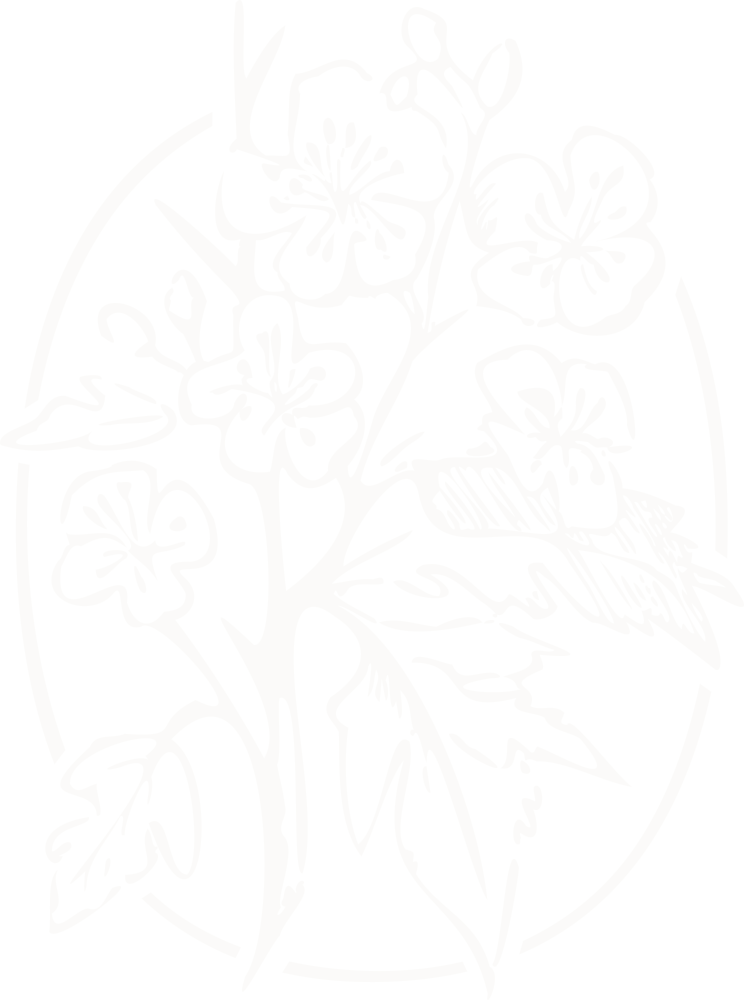 Black and white graphic of a cherry blossom branch with flowers and leaves enclosed in an oval shape.