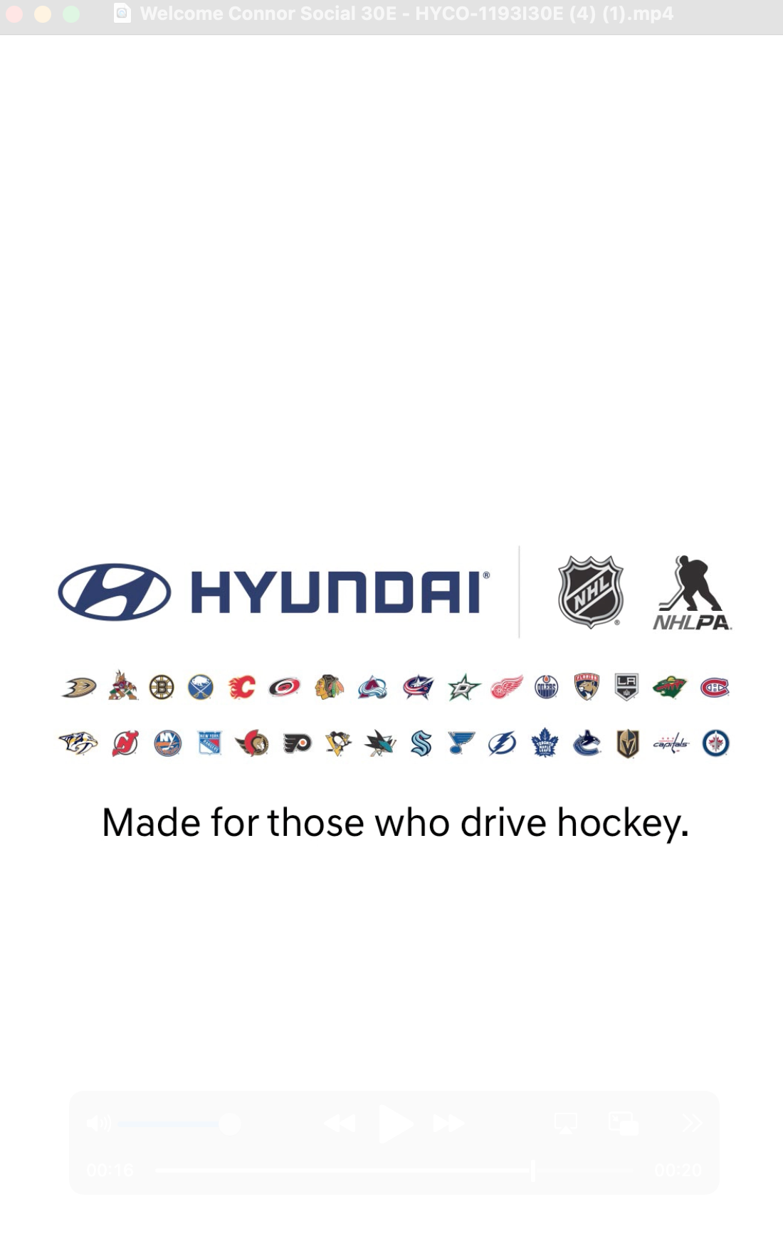 Hyundai - For those who drive hockey