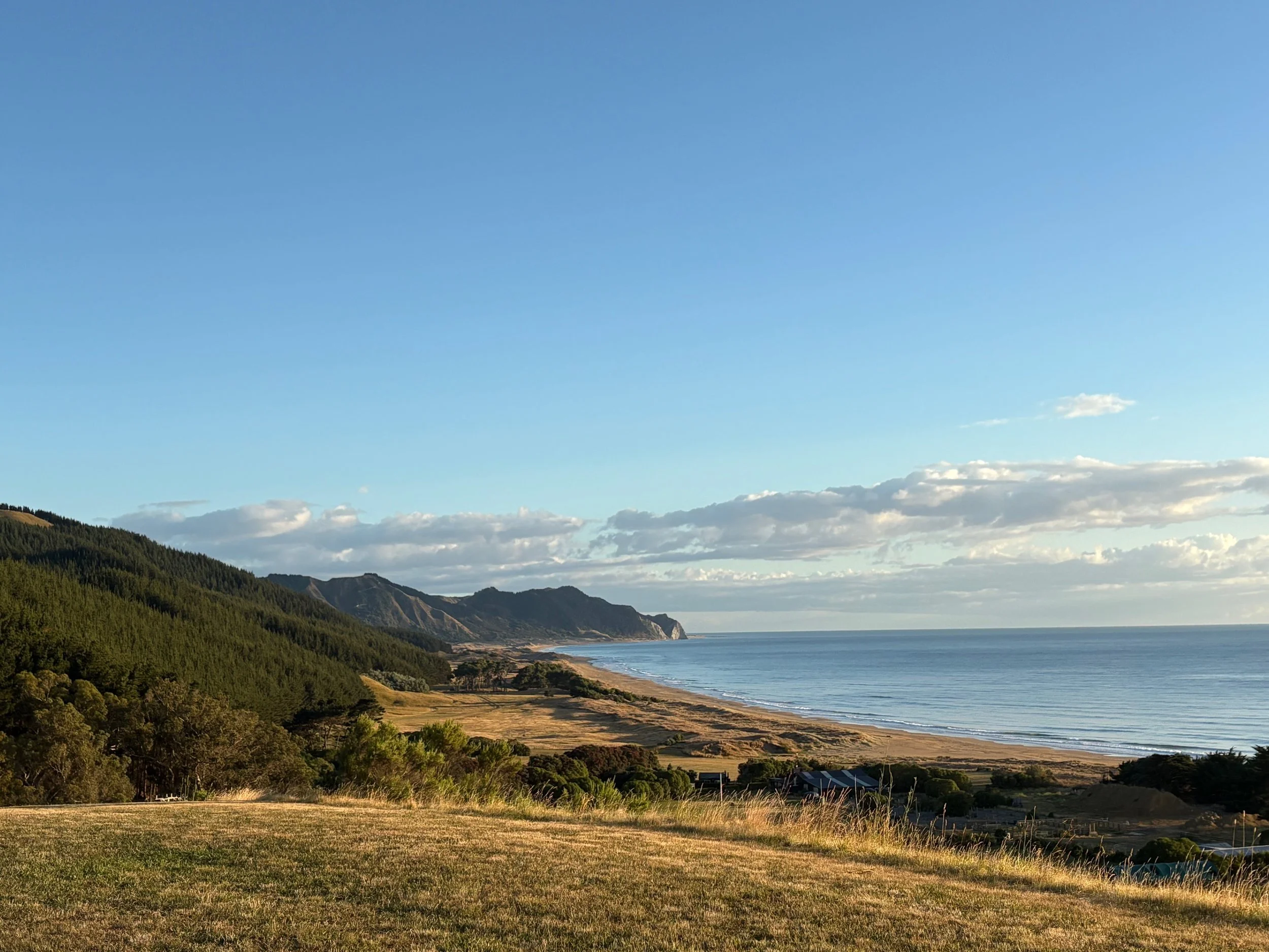 Cape Sanctuary’s restoration story.