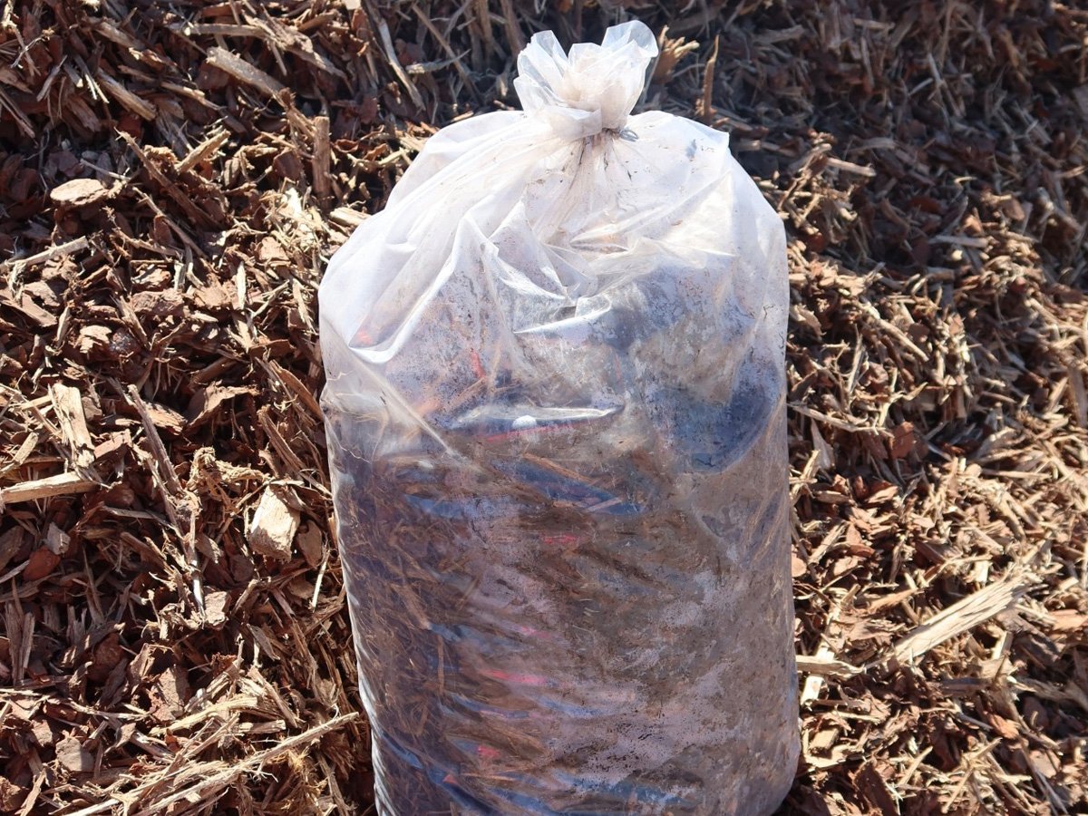 Bag 12.jpg