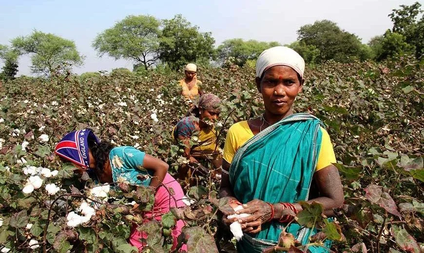 11395_CottonFarmersIndia_870.jpg