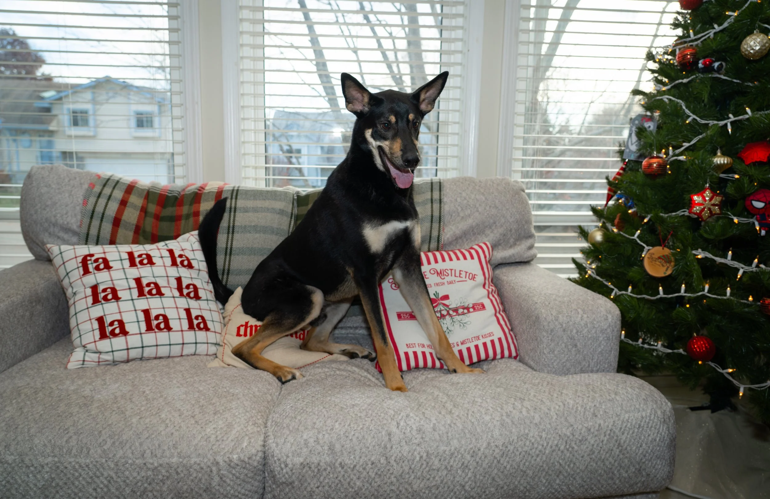 20251122_Bren Fernando Silva Family-01132.jpg