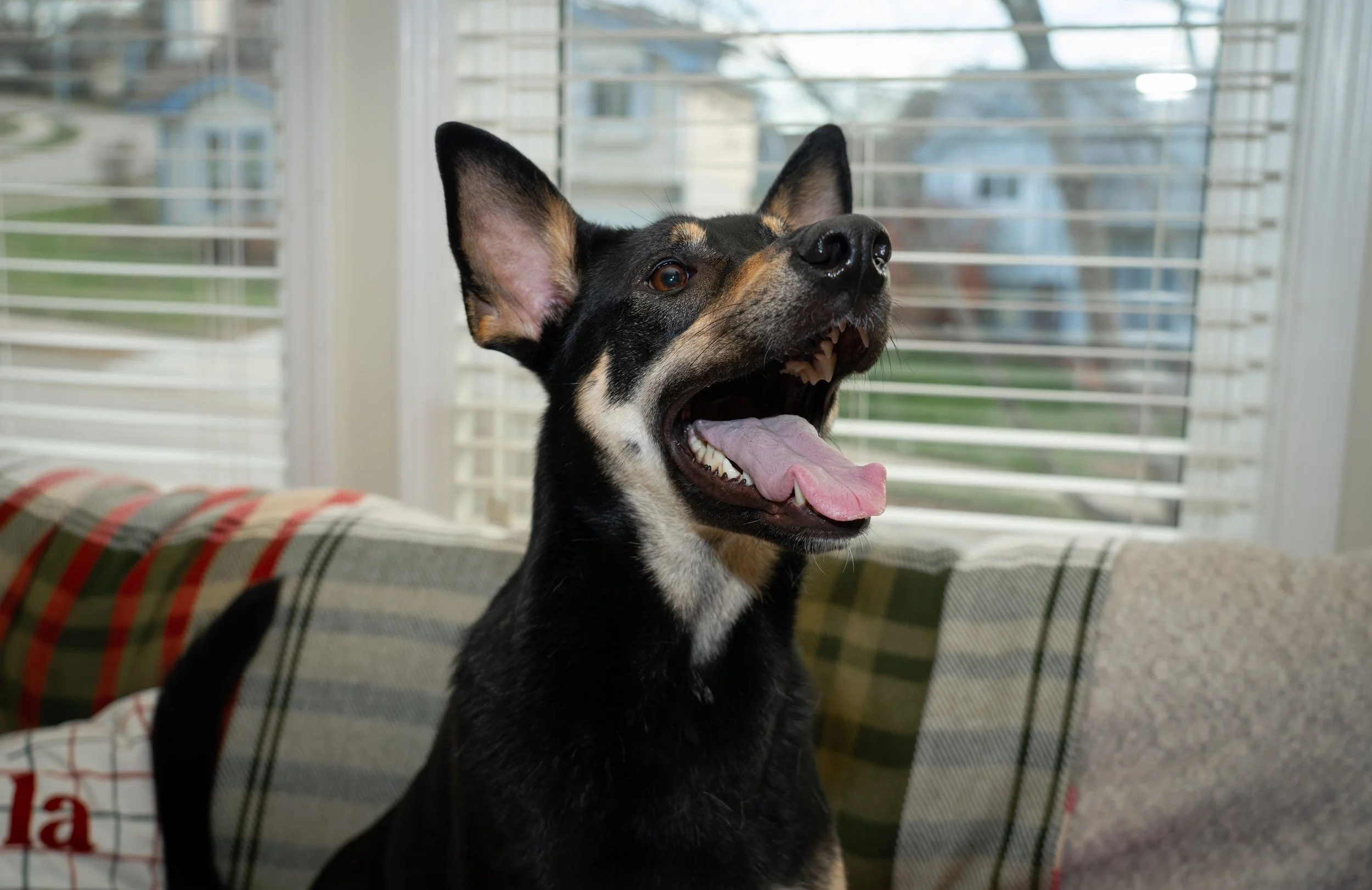 20251122_Bren Fernando Silva Family-01137.jpg