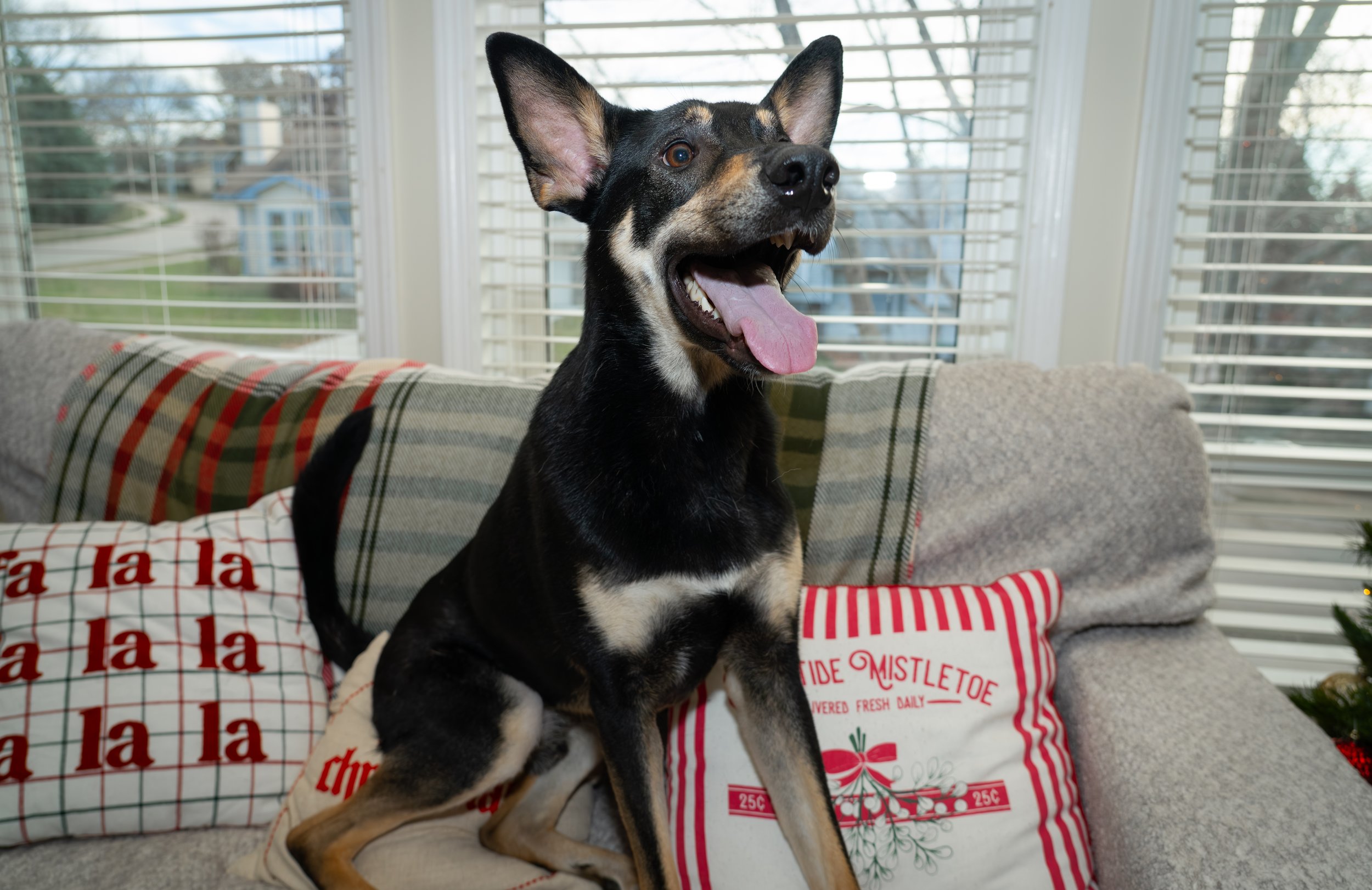 20251122_Bren Fernando Silva Family-01134.jpg