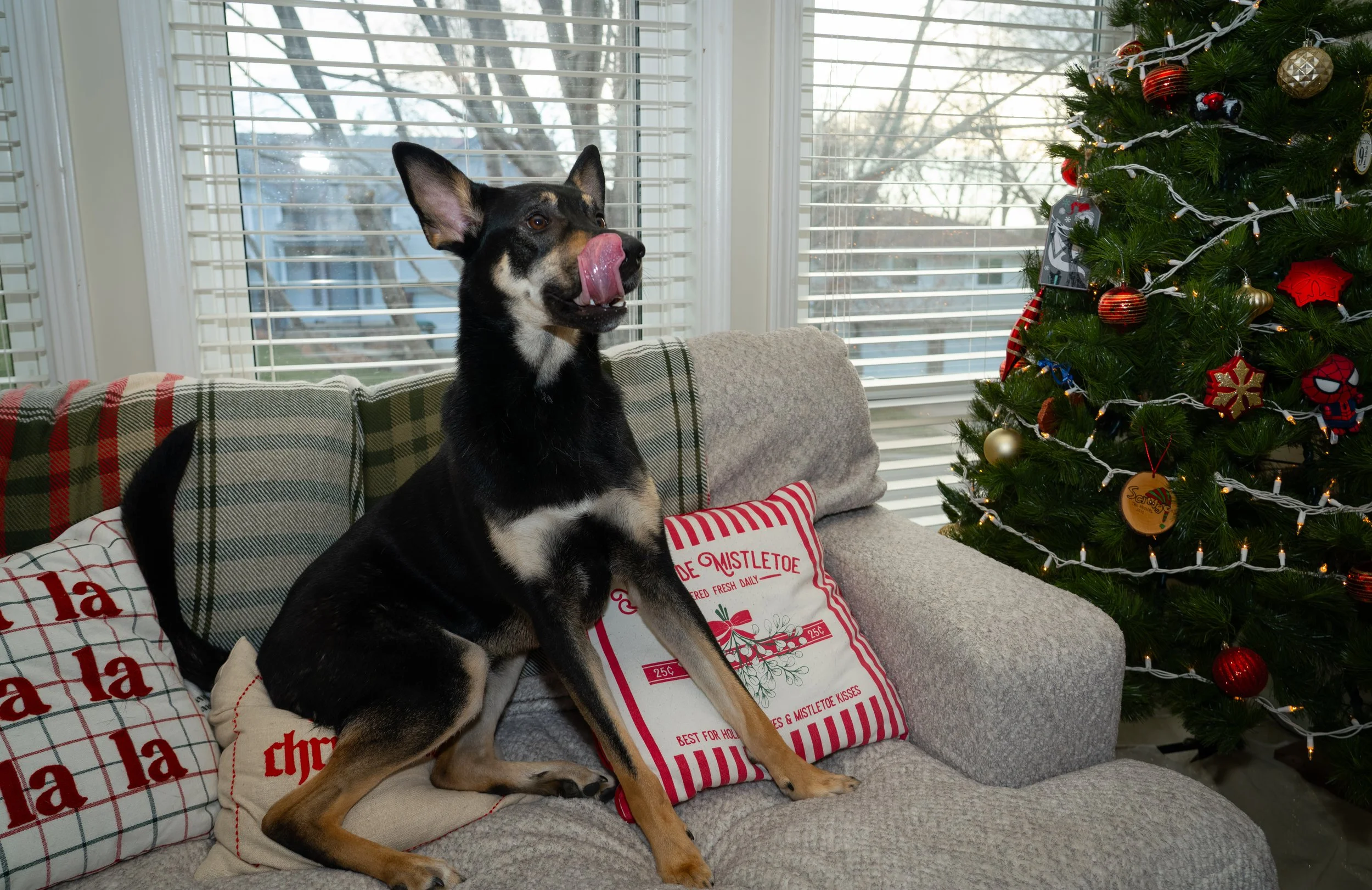 20251122_Bren Fernando Silva Family-01142.jpg