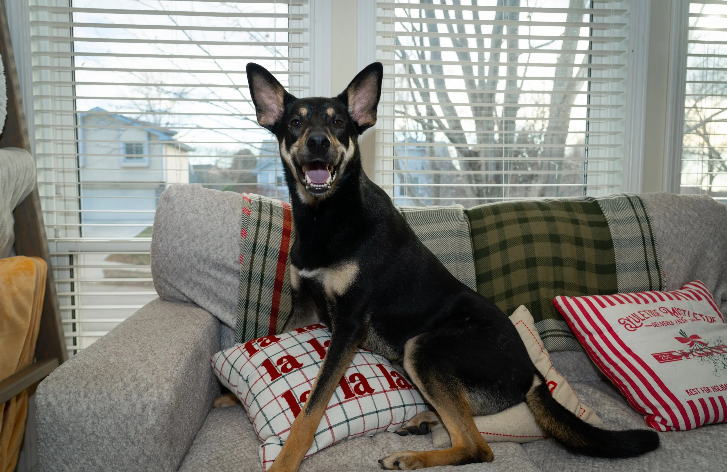 20251122_Bren Fernando Silva Family-01172.jpg