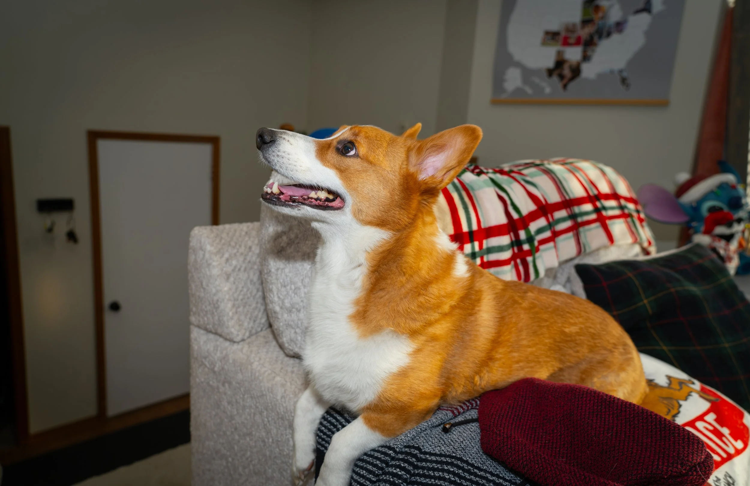 20251122_Bren Fernando Silva Family-01493.jpg