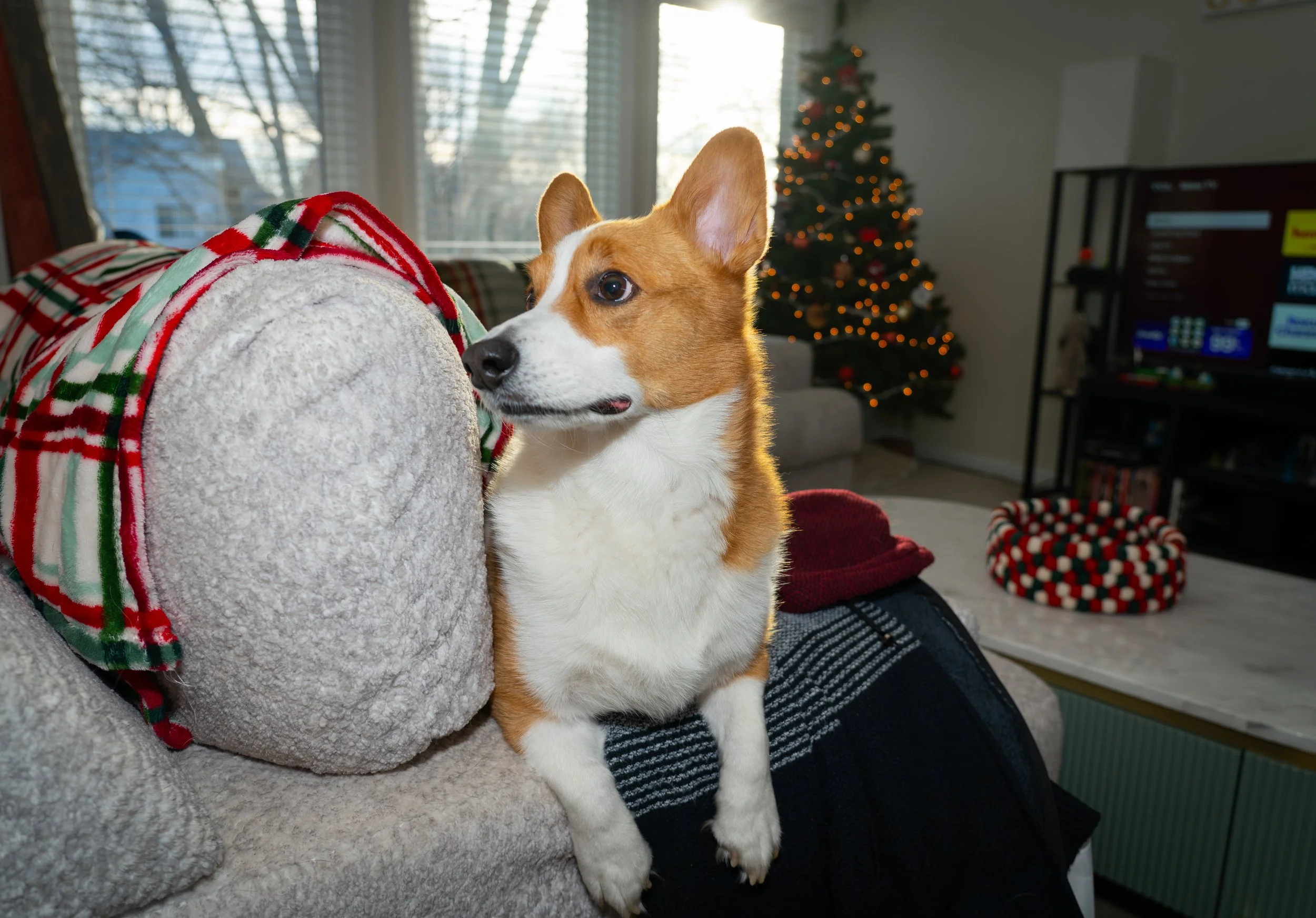 20251122_Bren Fernando Silva Family-01499.jpg