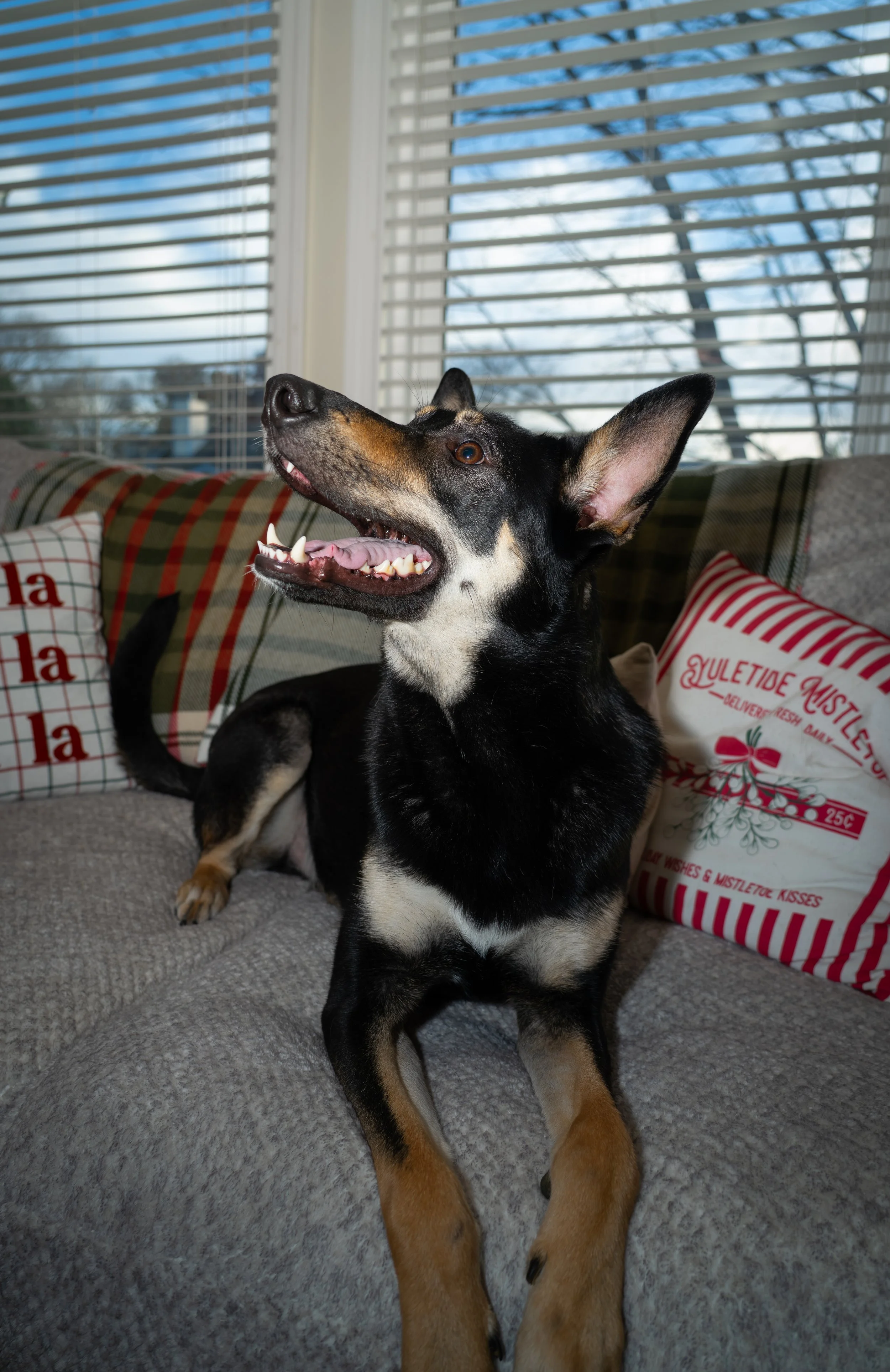 20251122_Bren Fernando Silva Family-01552.jpg