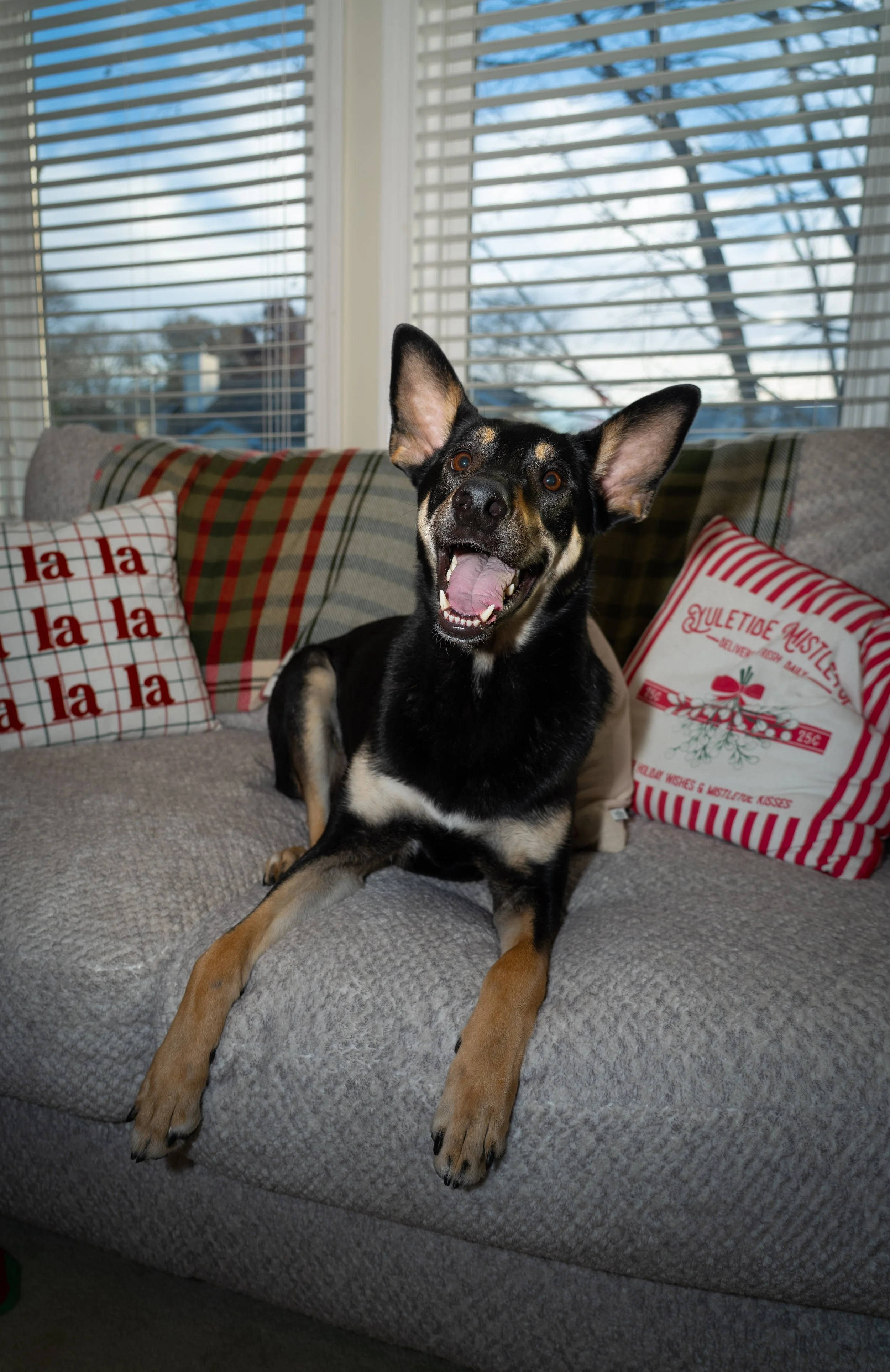 20251122_Bren Fernando Silva Family-01556.jpg