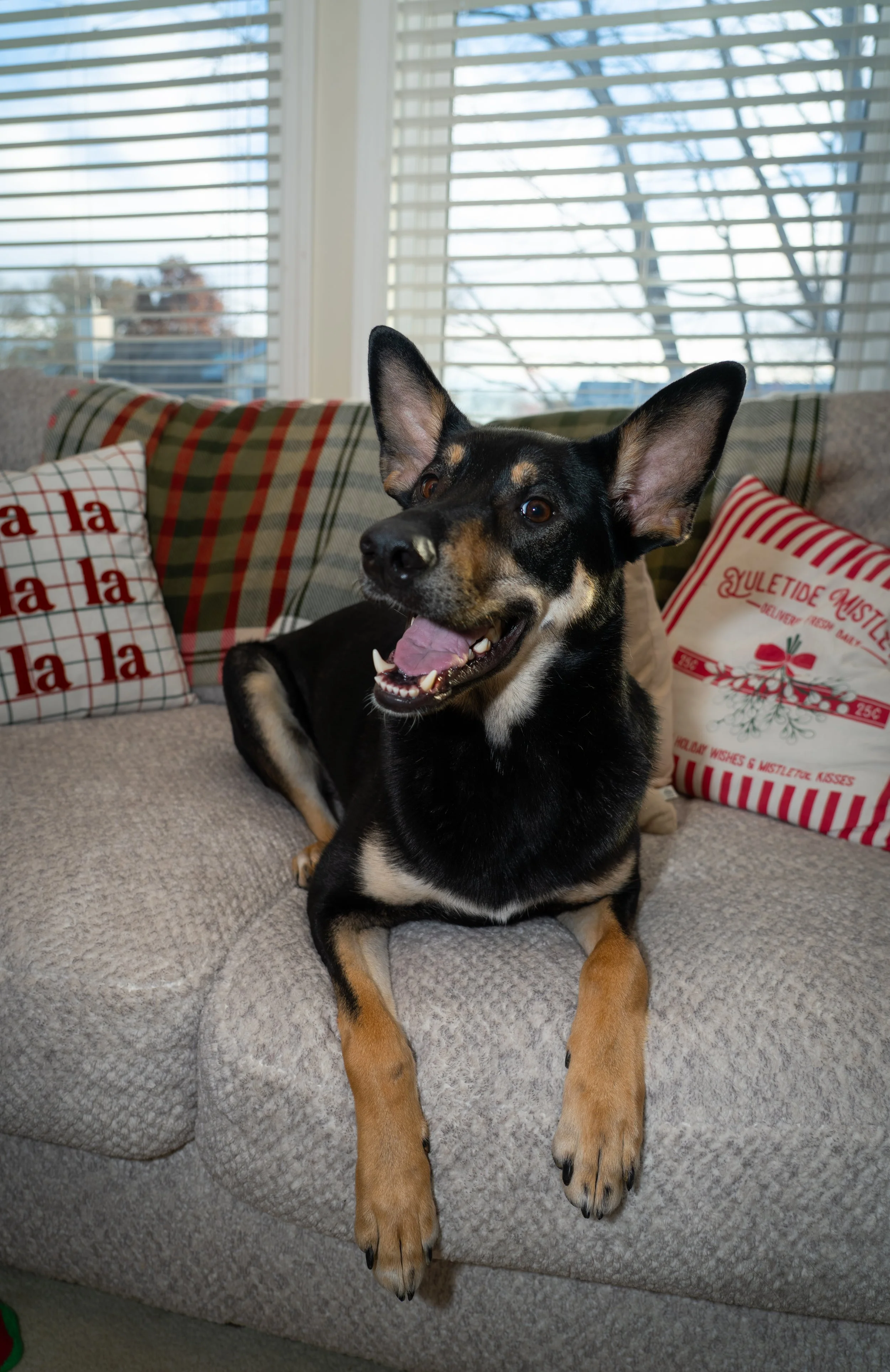 20251122_Bren Fernando Silva Family-01563.jpg