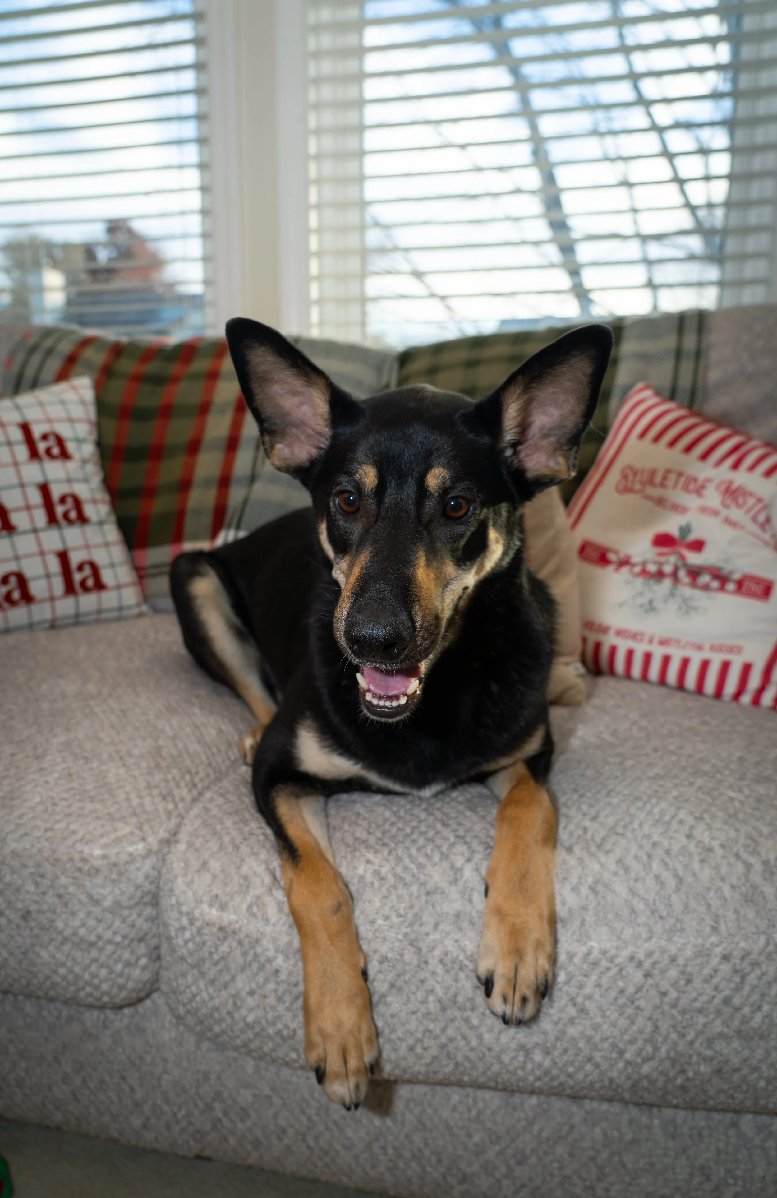 20251122_Bren Fernando Silva Family-01565.jpg