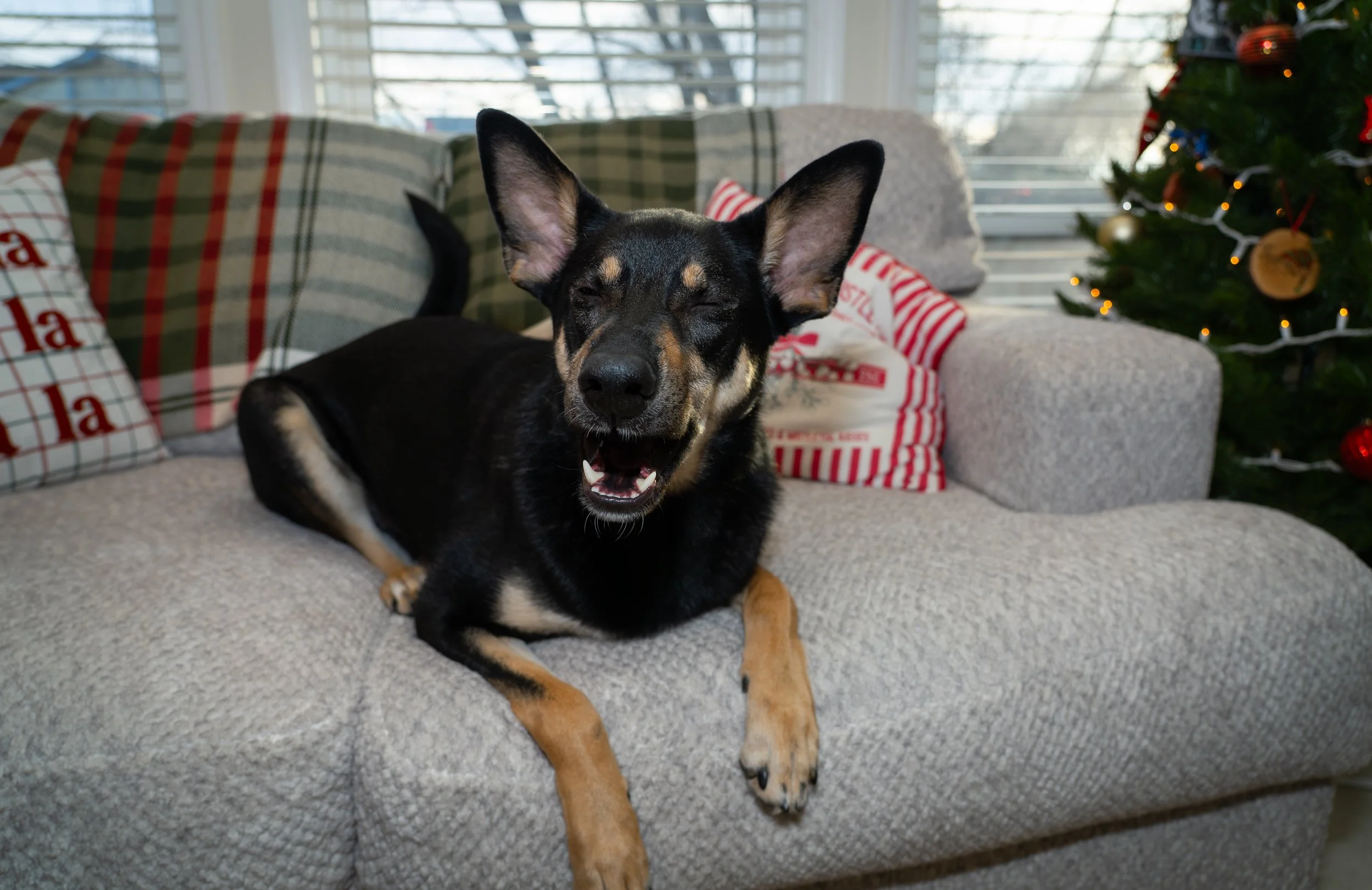 20251122_Bren Fernando Silva Family-01569.jpg