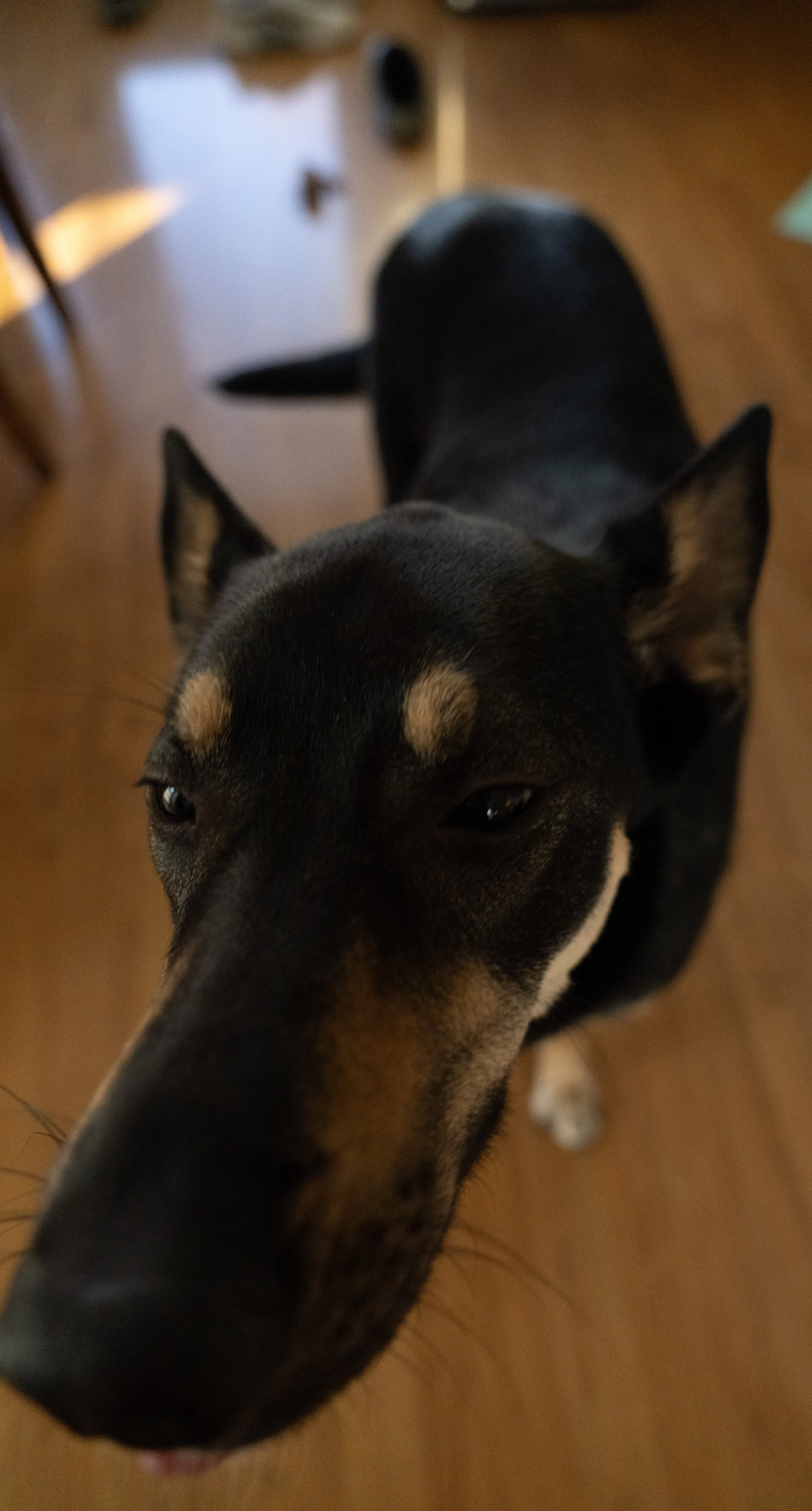 20251122_Bren Fernando Silva Family-01613.jpg