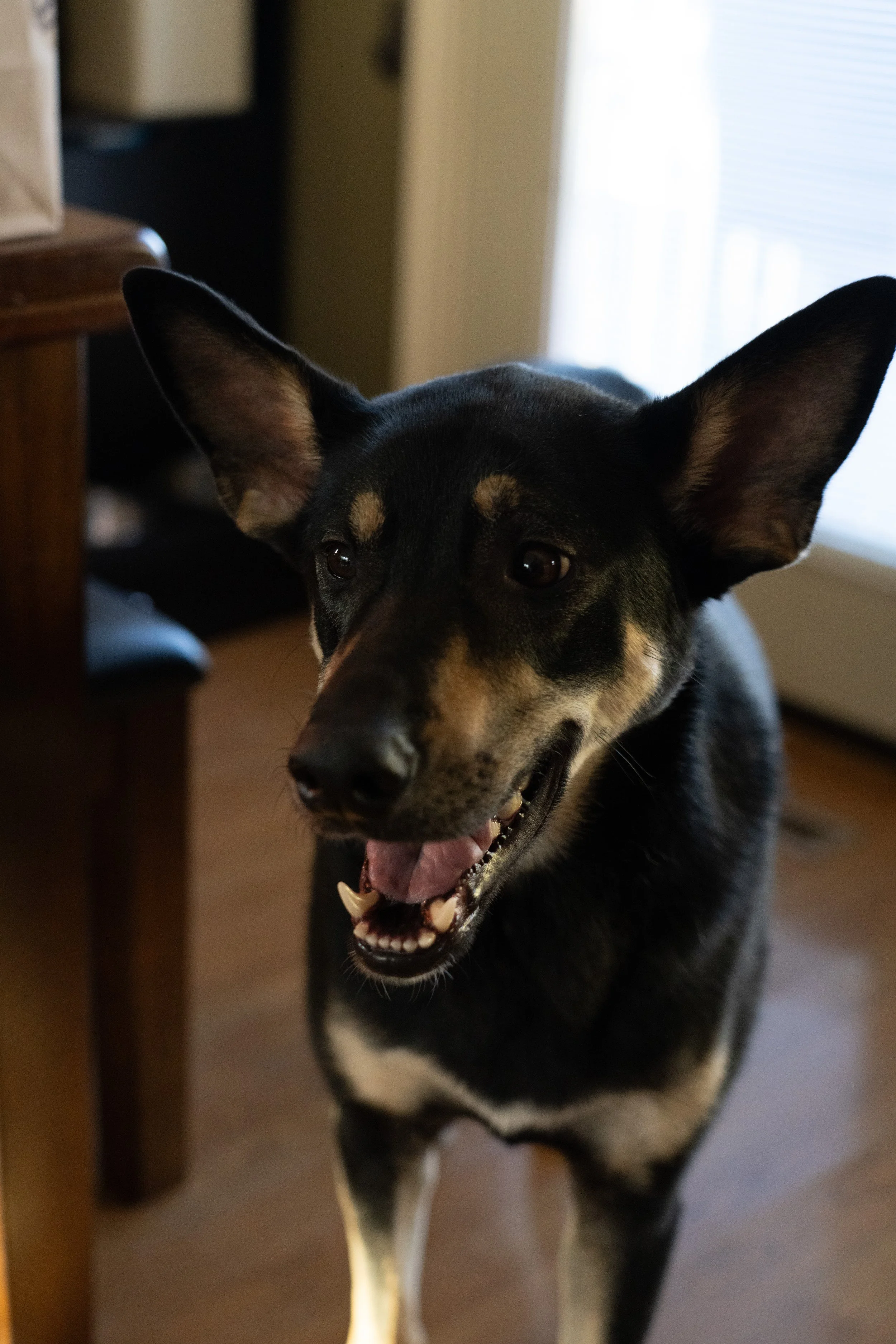 20251122_Bren Fernando Silva Family-01618.jpg