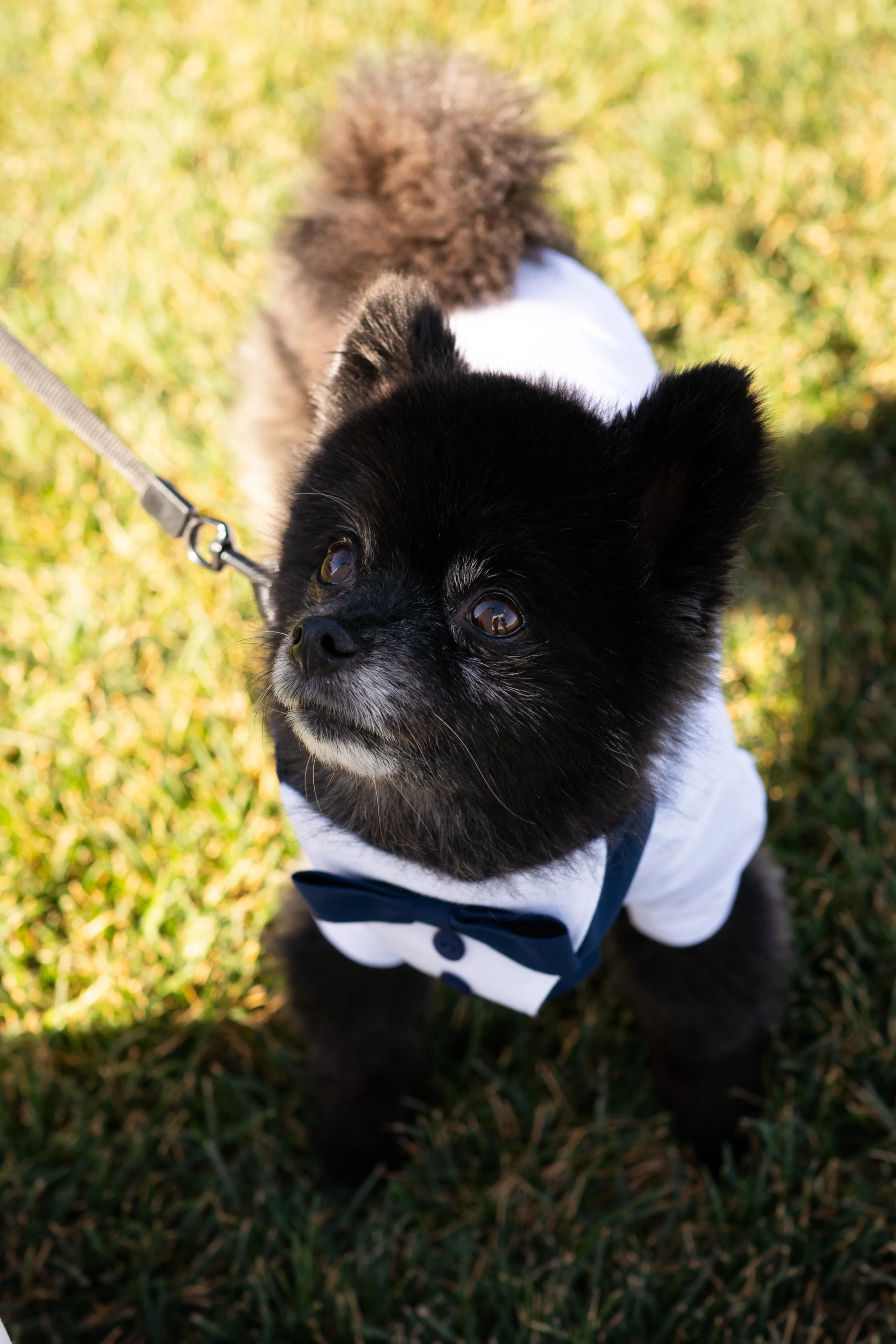 20221015__Kim and Eric Lubbersted Anderson-15-283.jpg