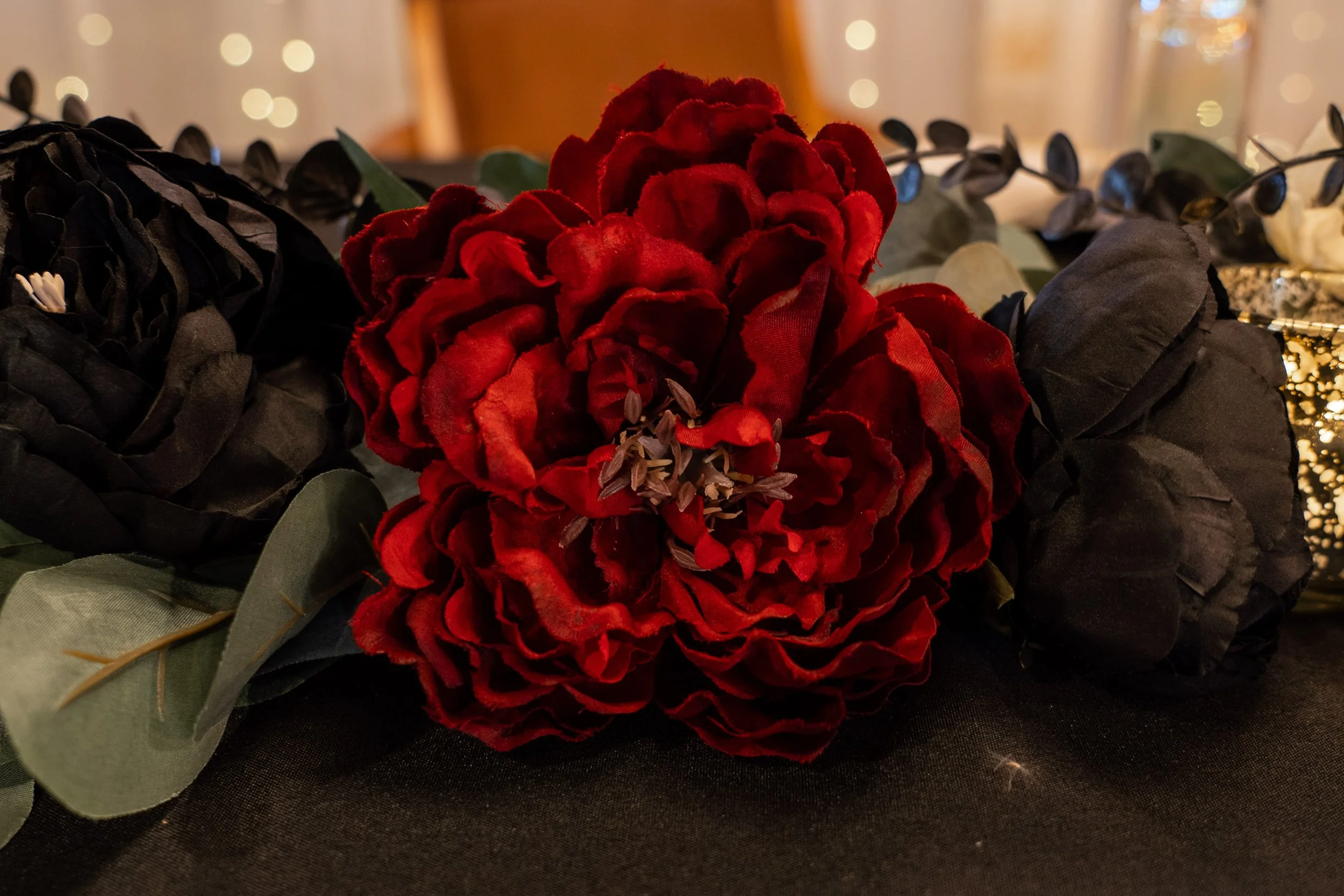 20211001_Ashley and Rick Springer-70519.jpg