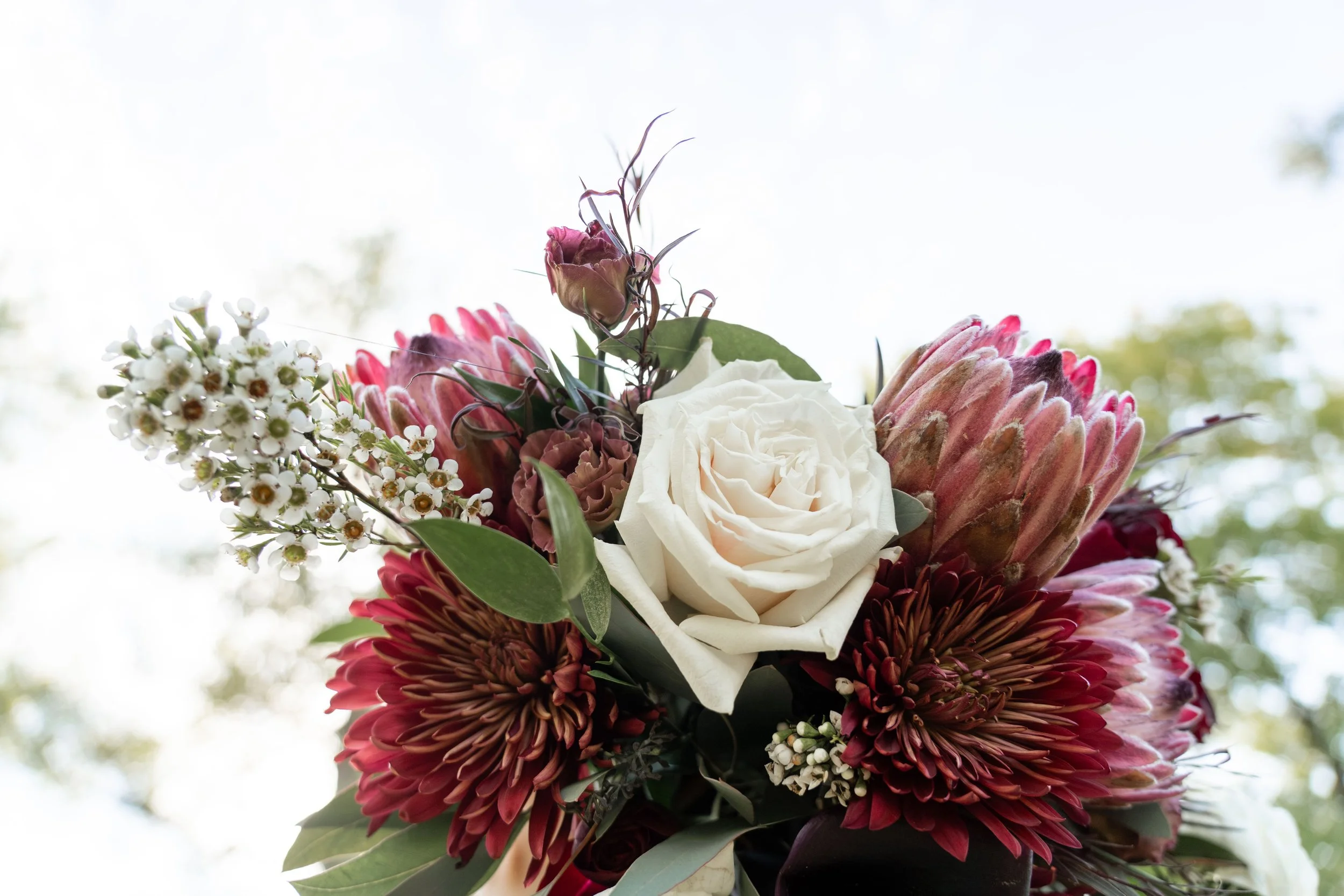 20211001_Ashley and Rick Springer-71601.jpg